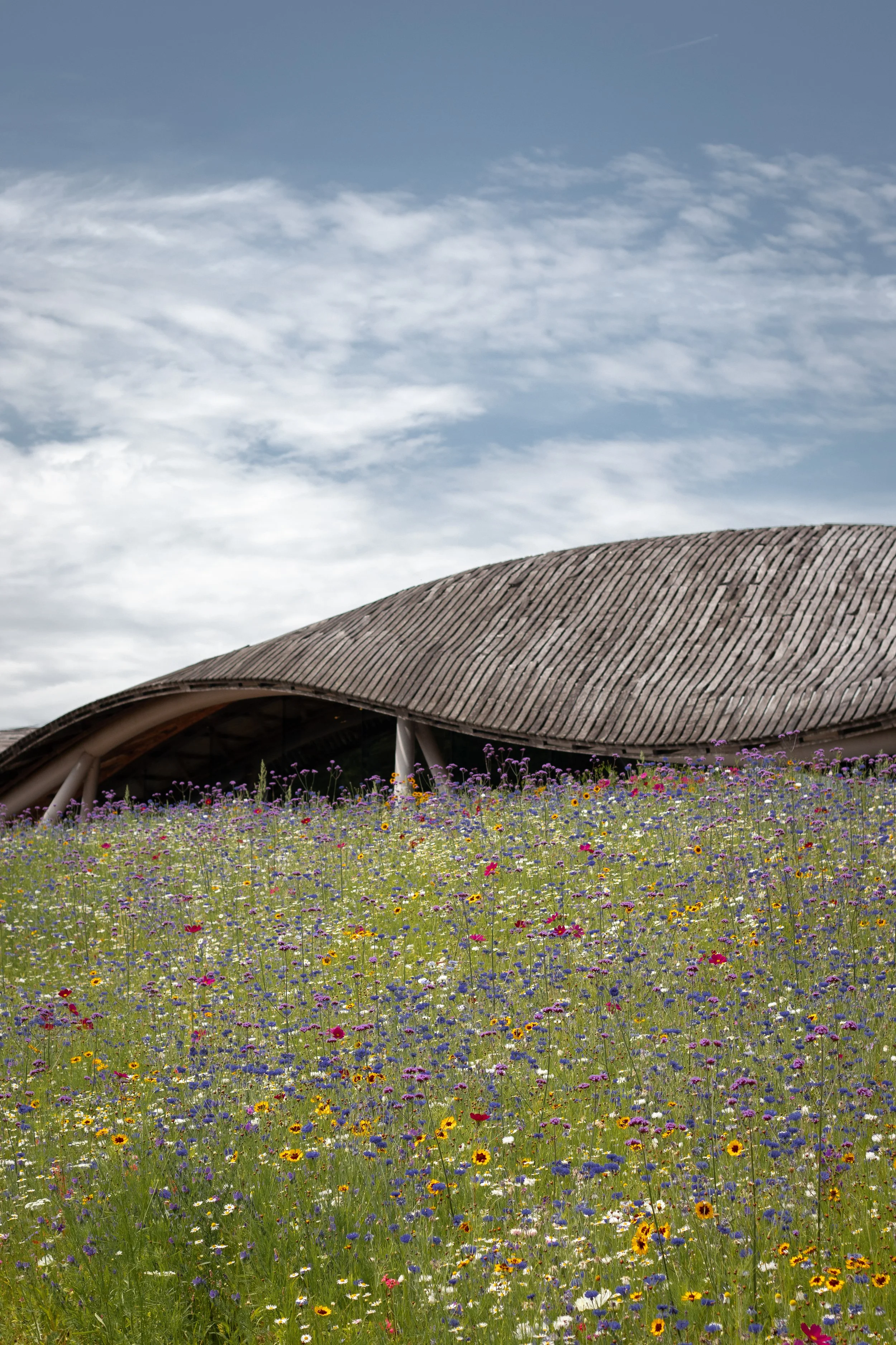 A field of wildflowers in front of a wooden building with a curved roof, under a partly cloudy sky in Windsor, United Kingdom.
