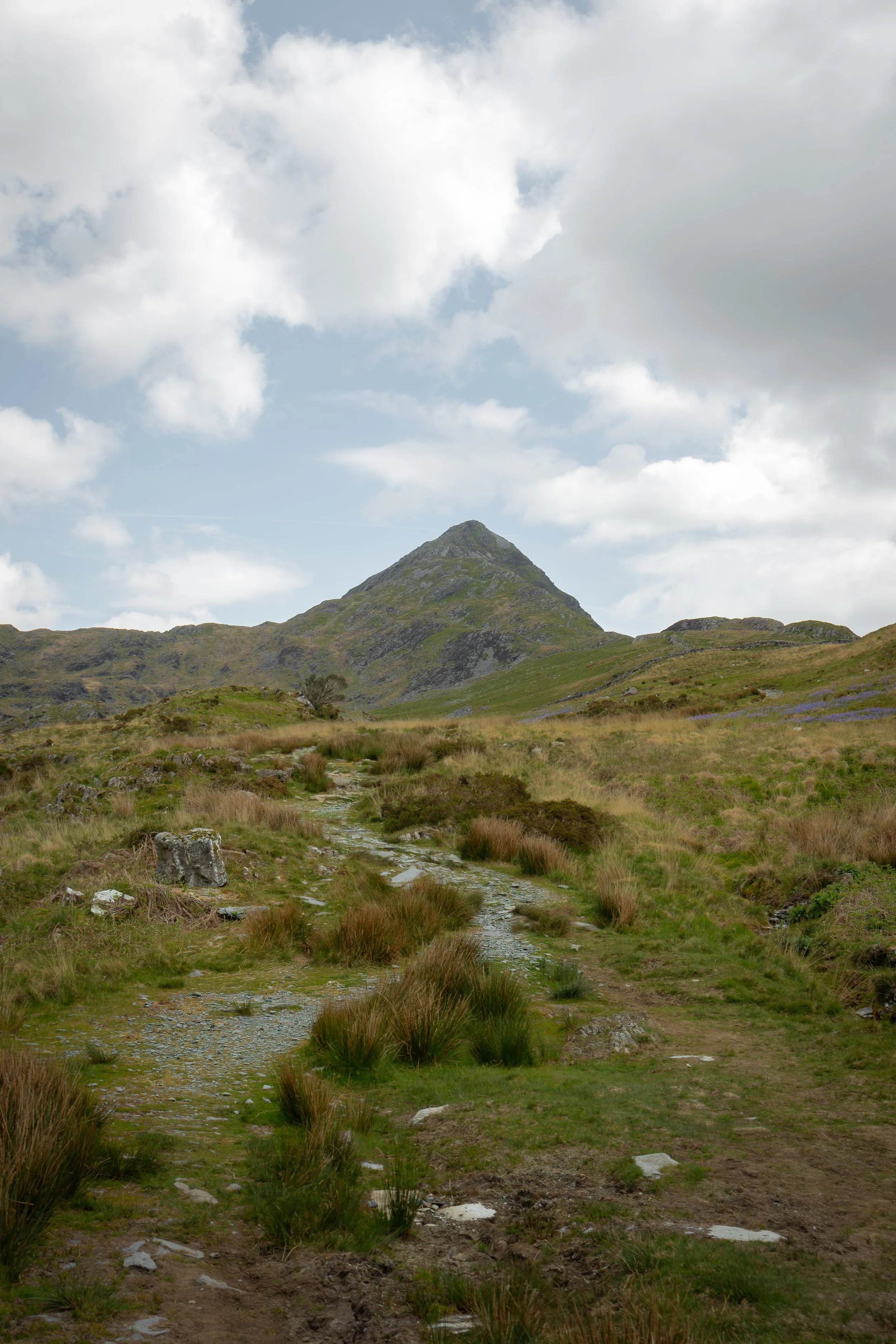 A mountain with a grassy landscape and a river stream in the foreground, under a cloudy sky.