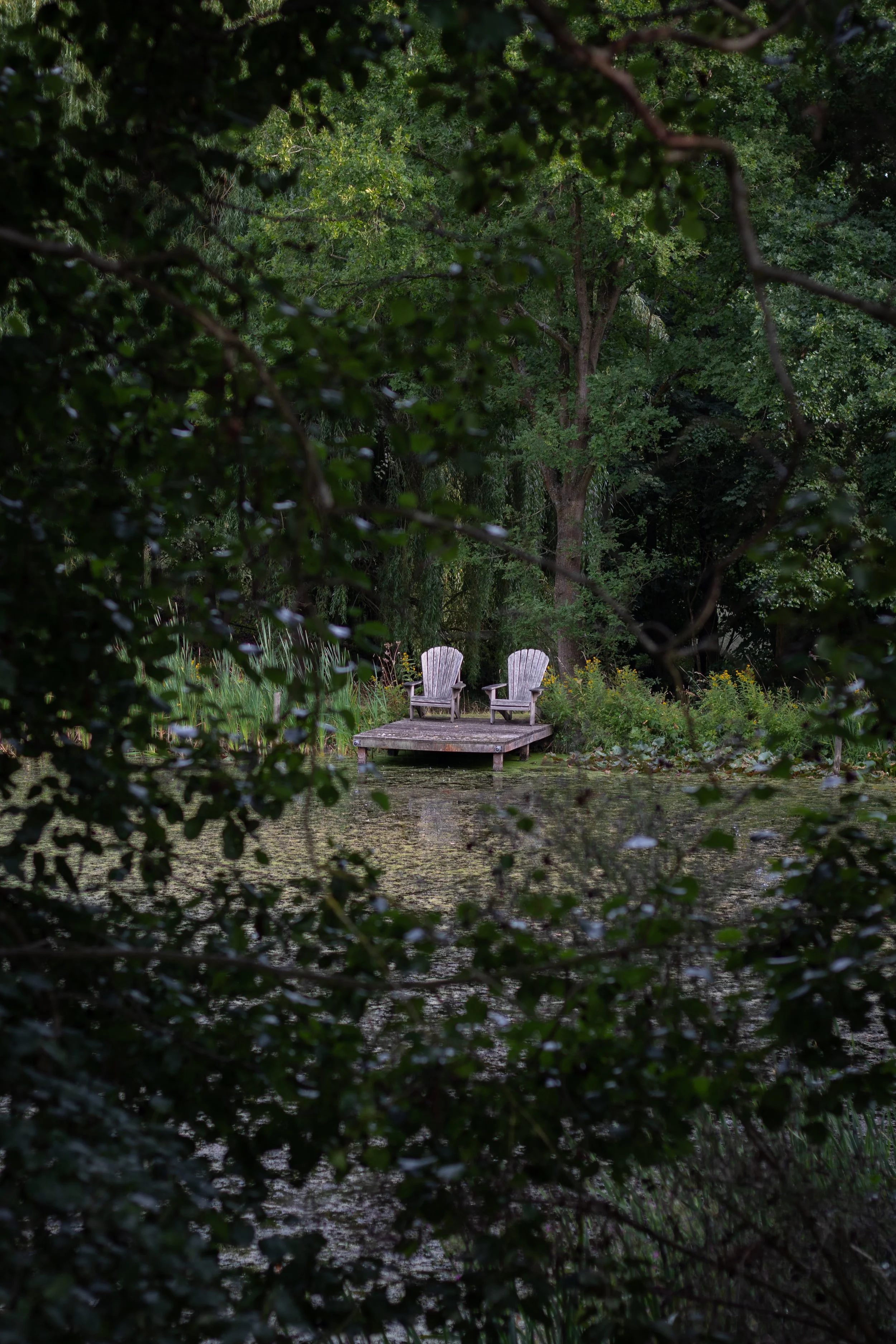 Two wooden chairs on a small platform by a pond, surrounded by greenery and trees.