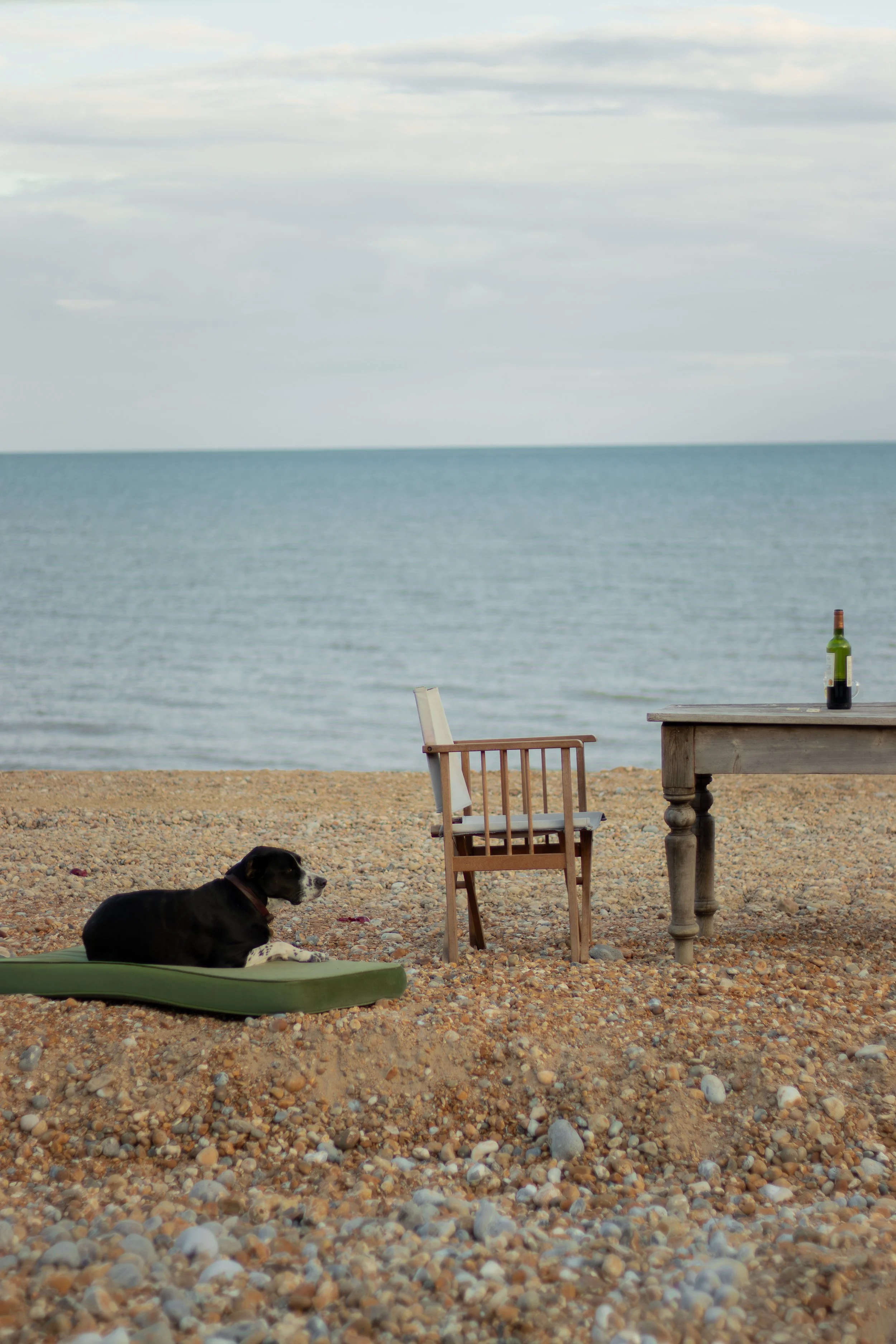 A black and white dog lying on a green mat on a pebble beach with a table, chairs, and a bottle of wine, facing a large body of water with cloudy sky overhead at Normans Bay, Sussex.