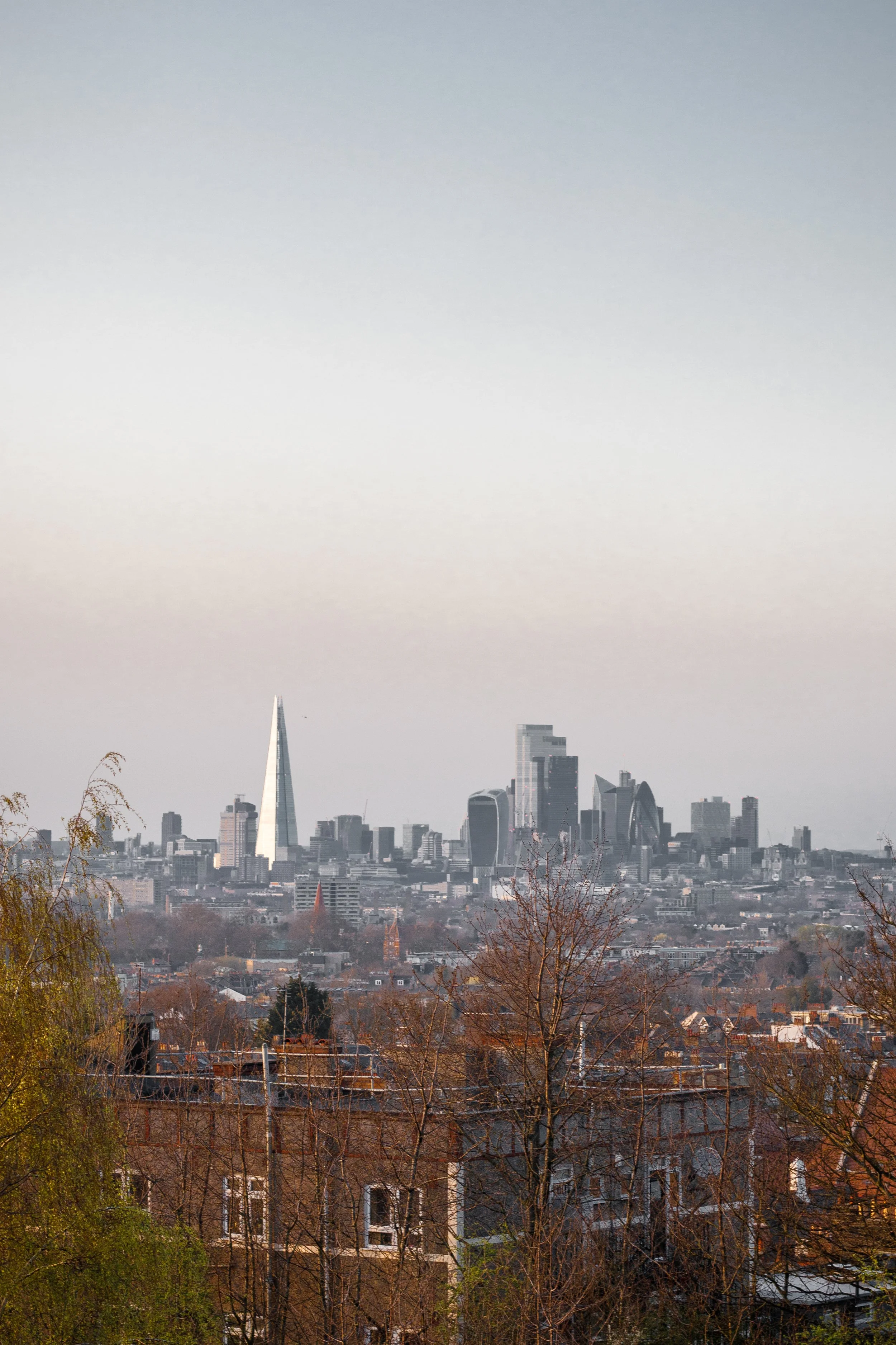 View of the London skyline including the Shard, the Gherkin, and other skyscrapers, with trees and residential buildings in the foreground.
