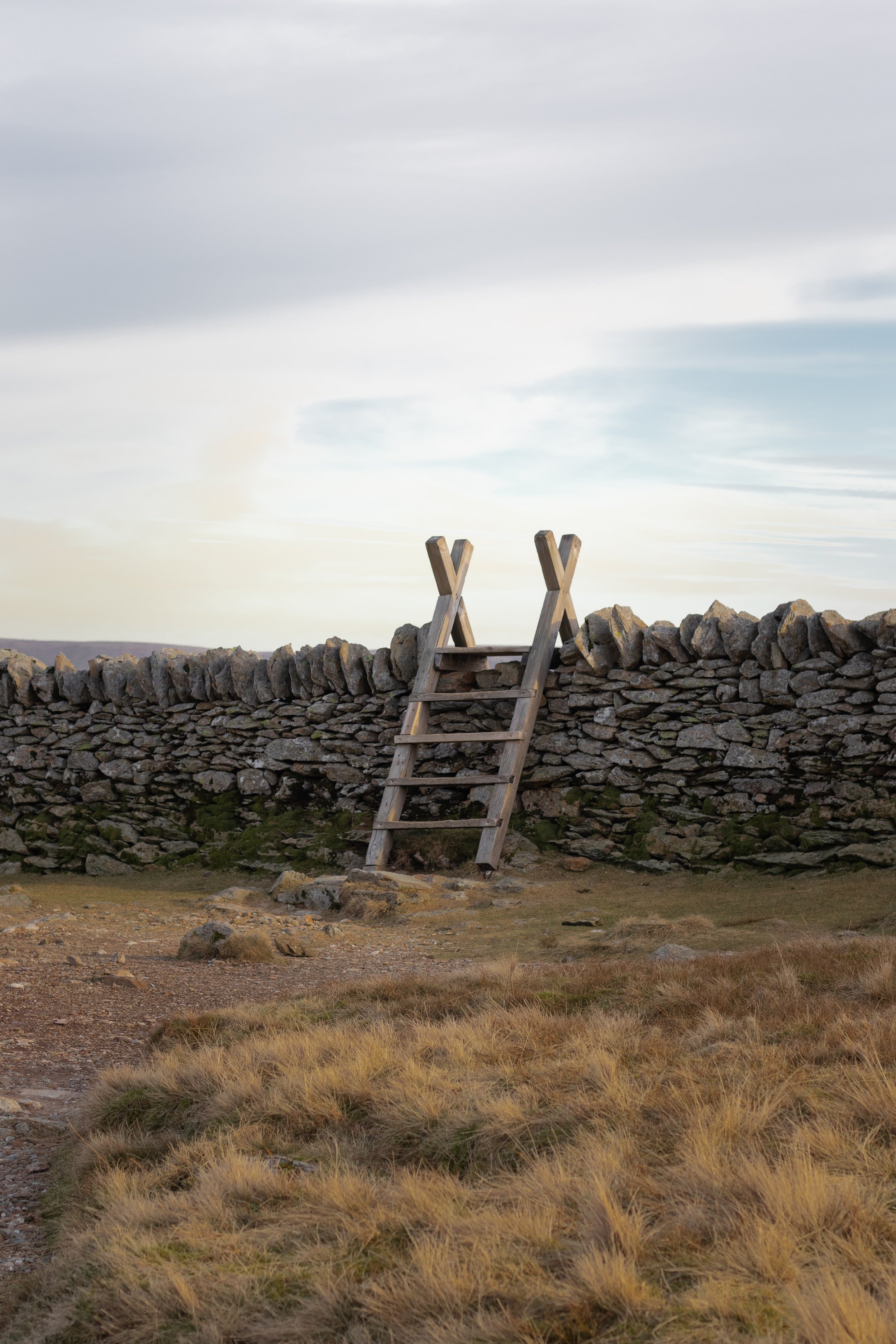 Wooden ladder leaning against a stone wall in a rural landscape with grassy field and cloudy sky in The Lake District, United Kingdom.
