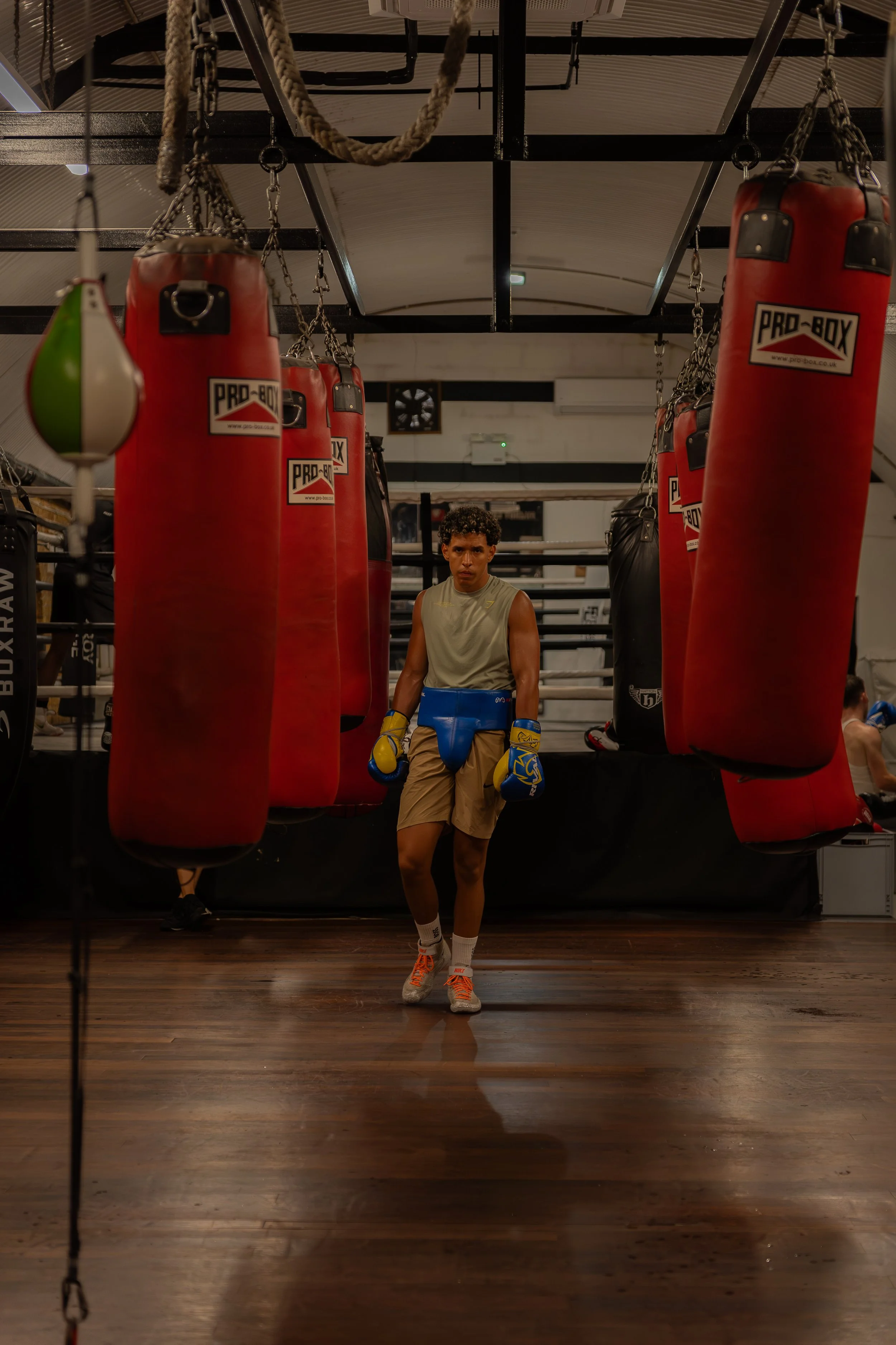A young man in boxing gloves stands inside a boxing gym, surrounded by red punching bags hanging from a black metal frame. The gym has a wooden floor and a mirror reflecting his image.