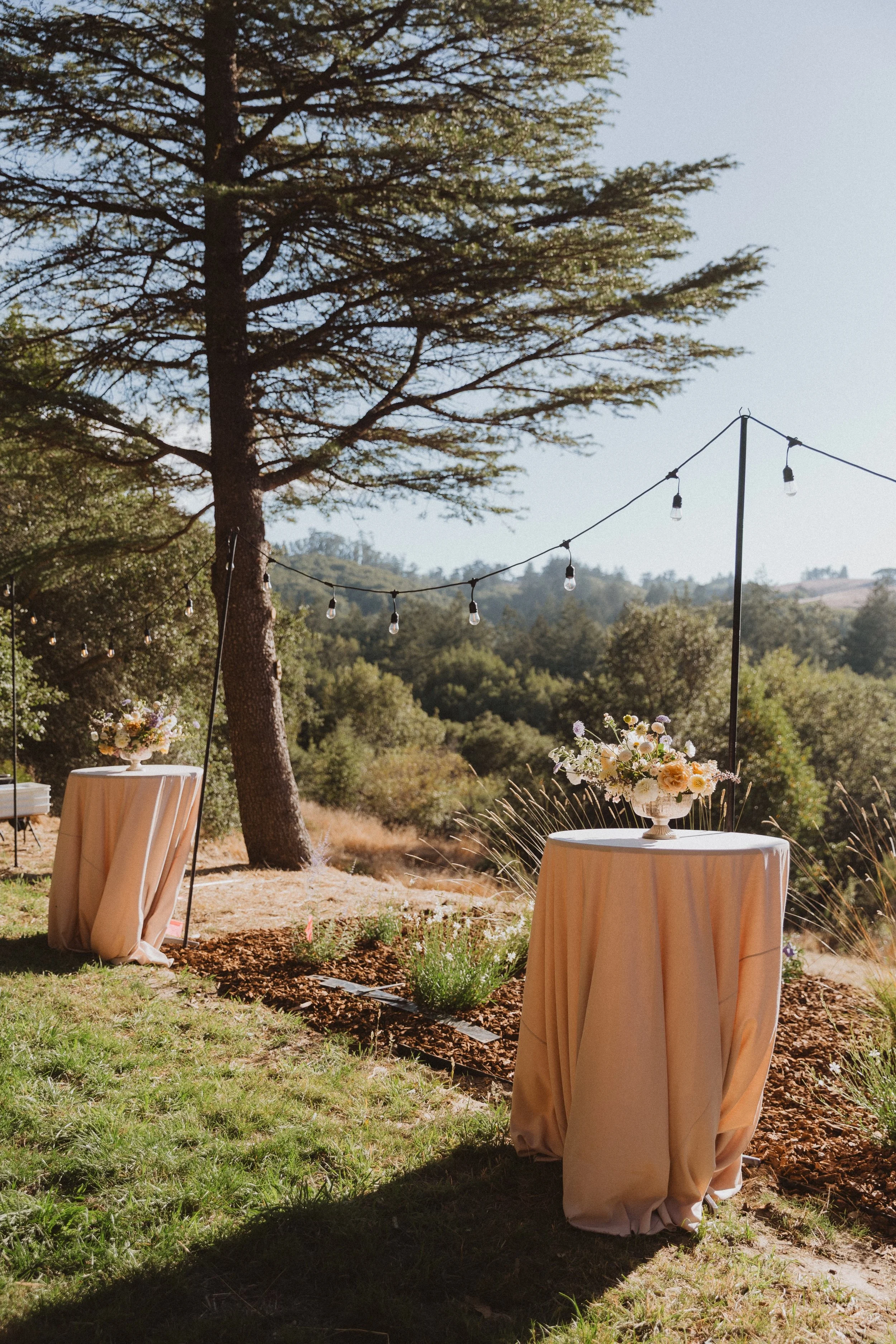 Sebastopol wedding local sustainably grown cocktail arrangements