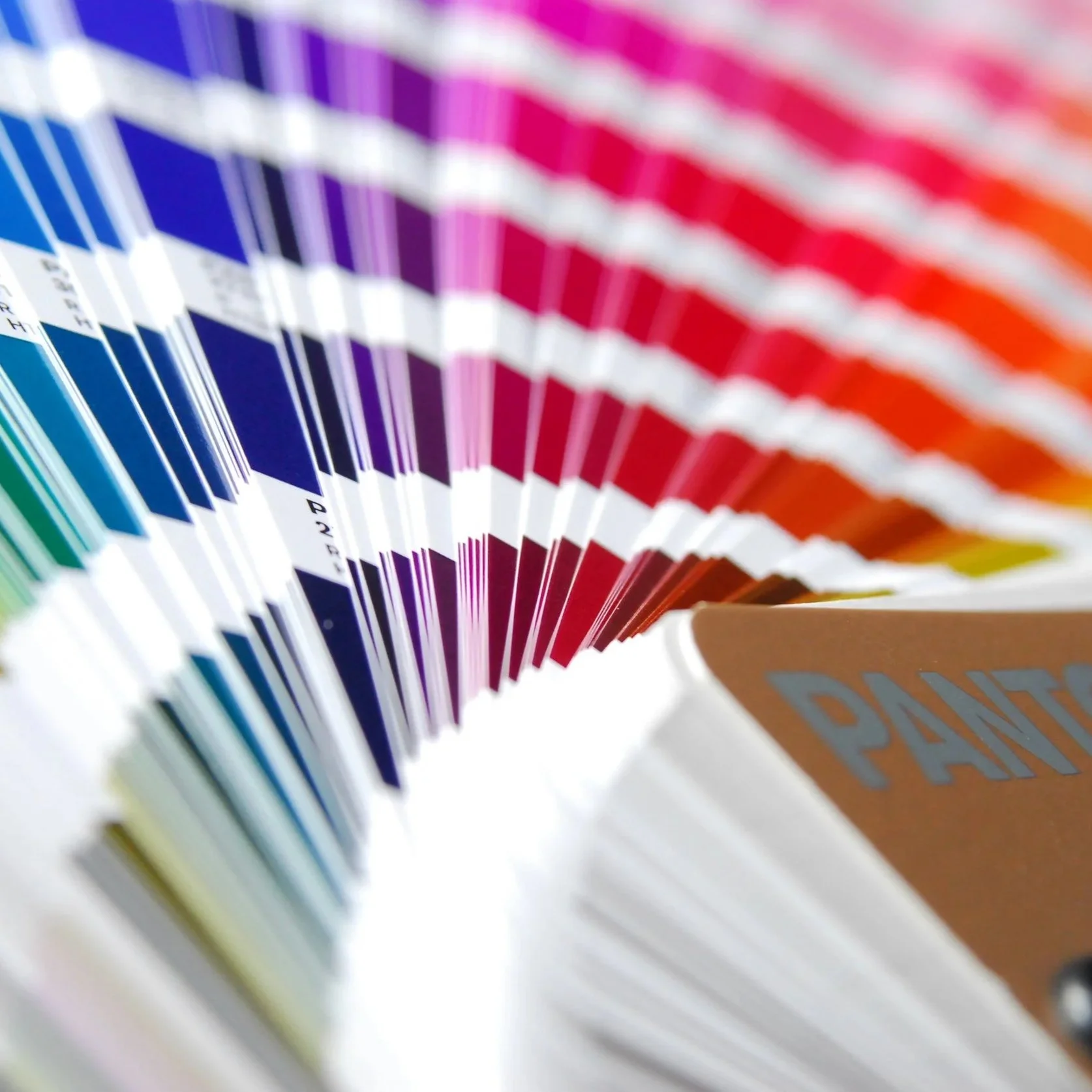 Choosing the Right Brand Colors
