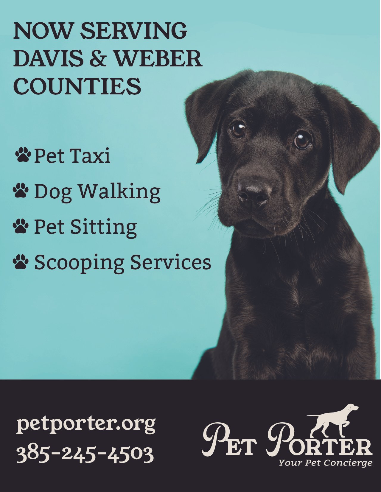 Pet Porter Flyer