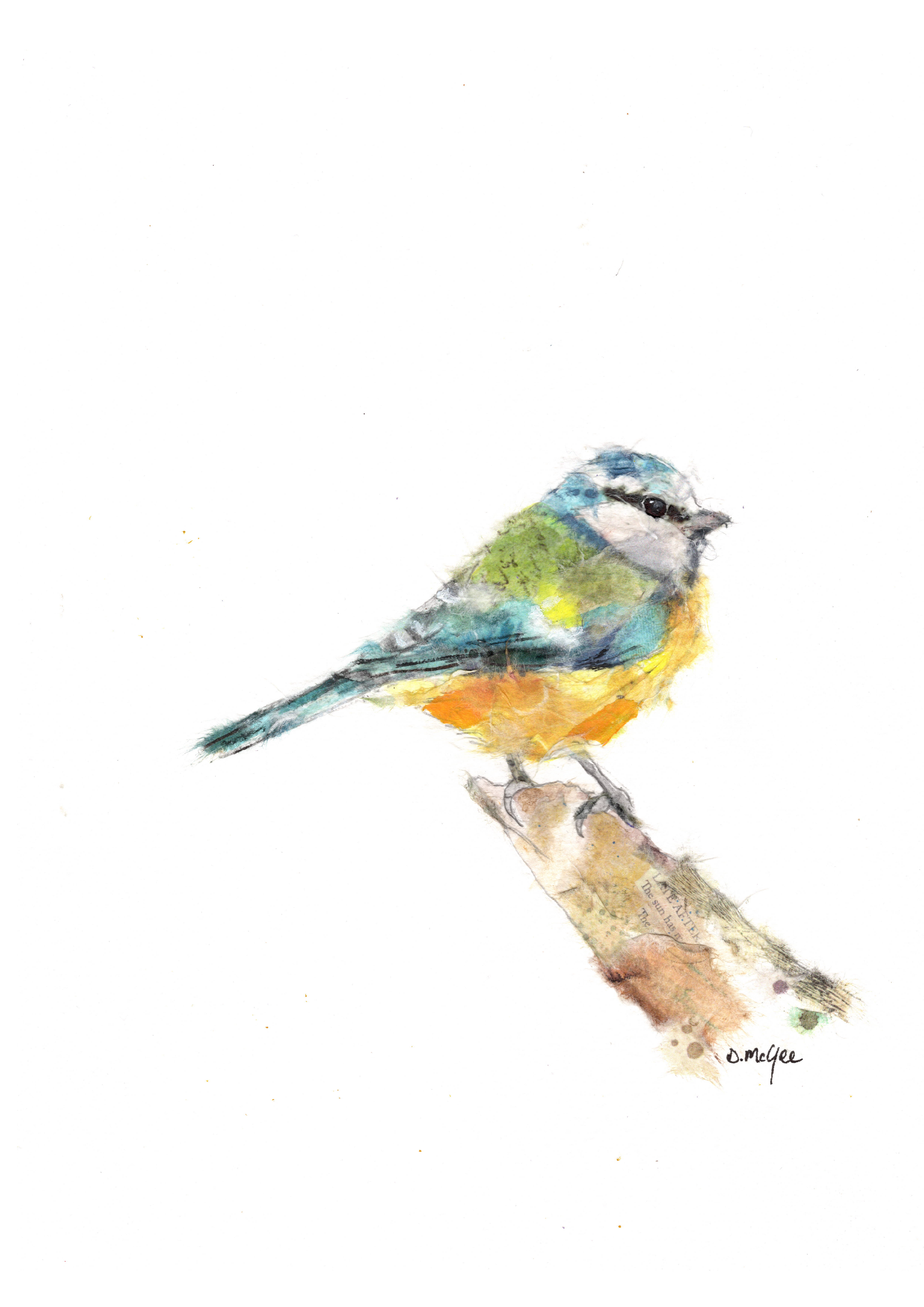 Blue Tit close up.png
