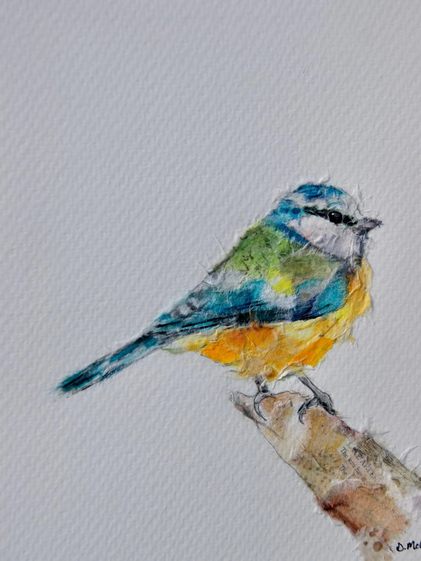 Nice bright a cheerful bird for the day that it is! Check out my website denisemcgeeart to look at my collection of print.