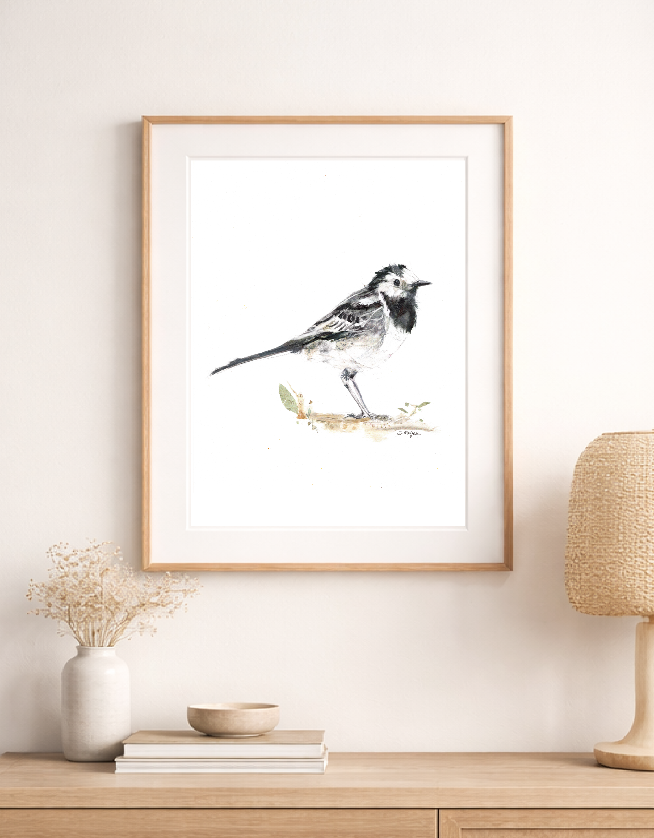 Willy Wagtail.png