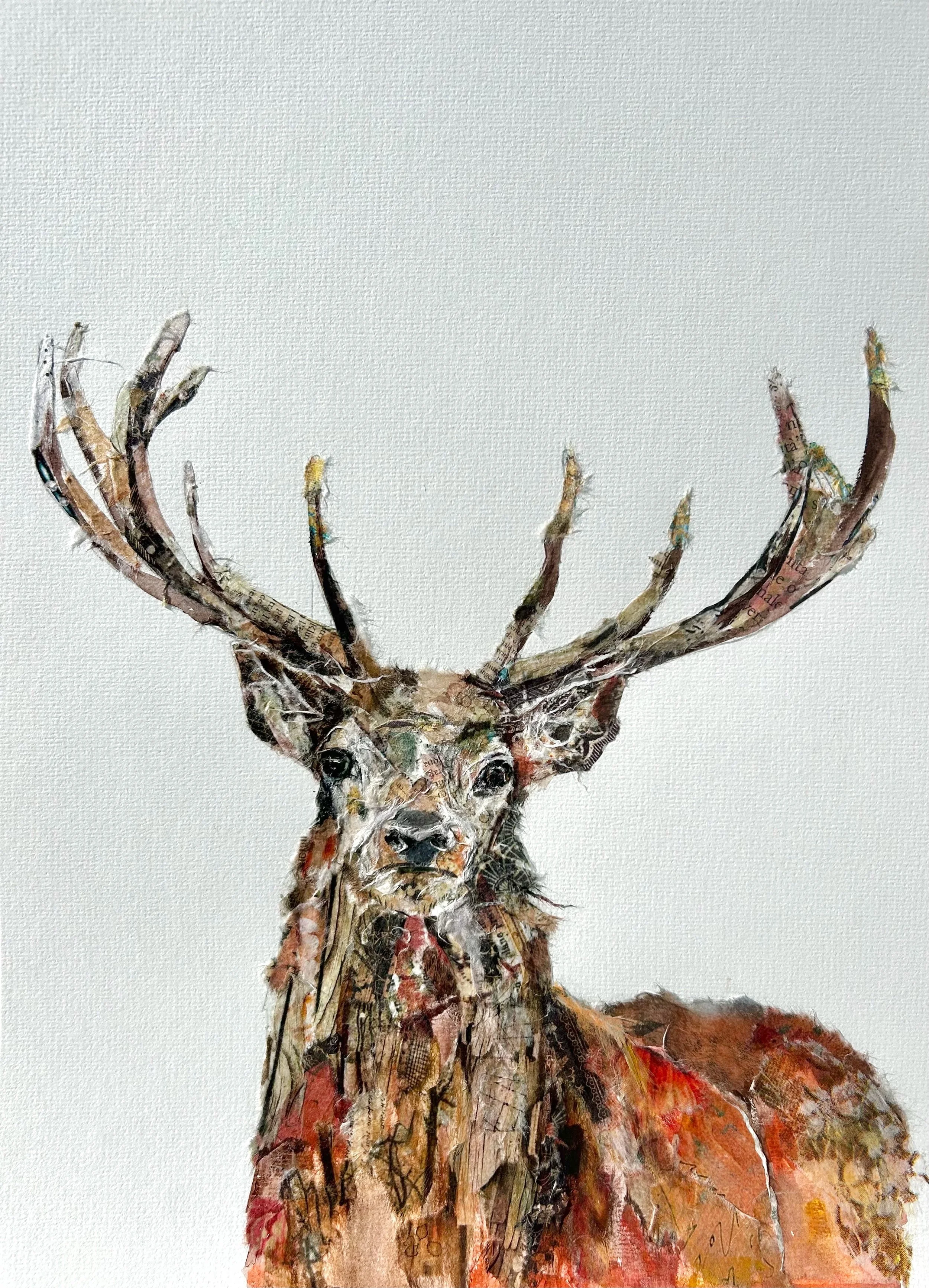 Wild Irish Deer.jpeg