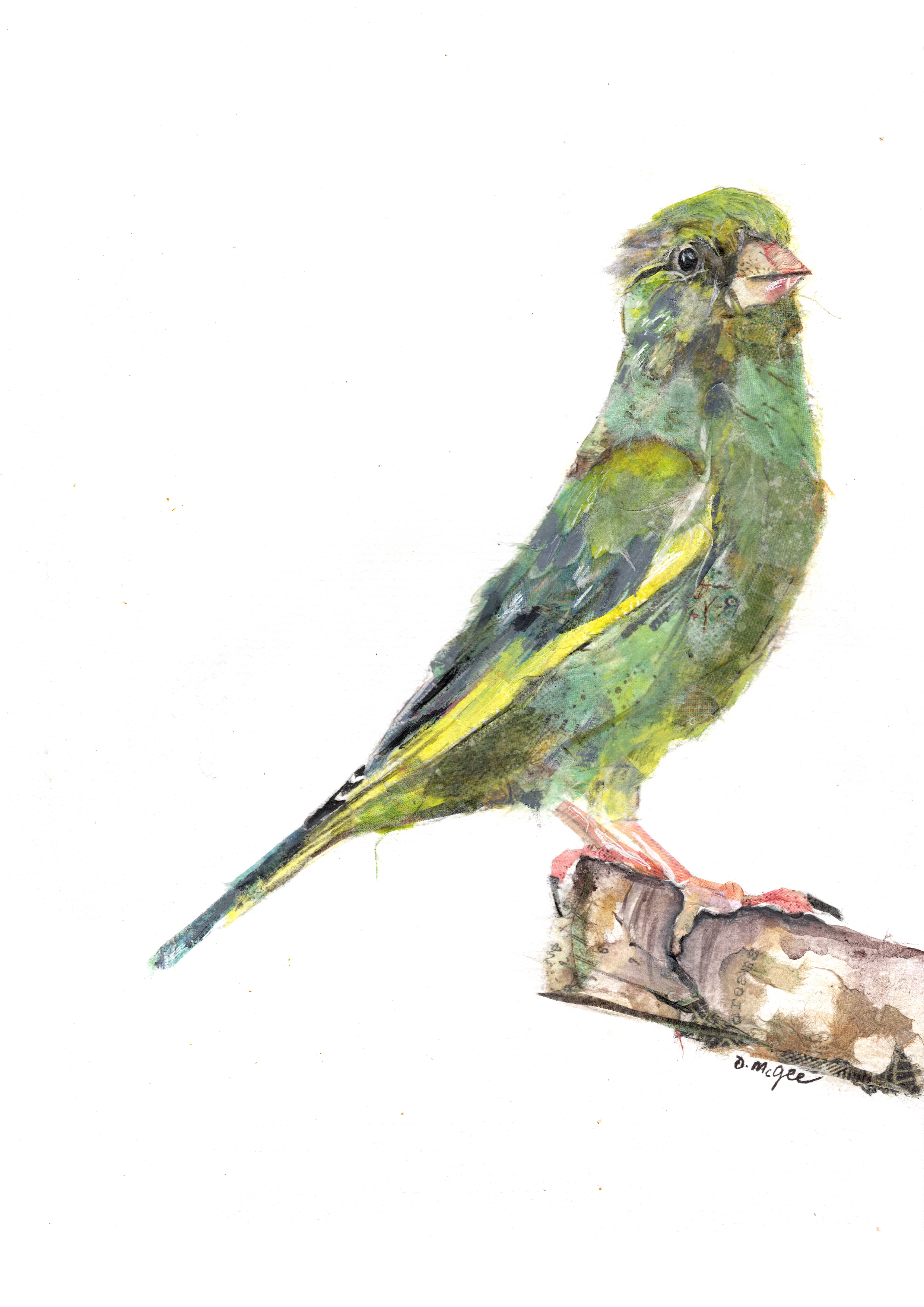 Greenfinch close up.png