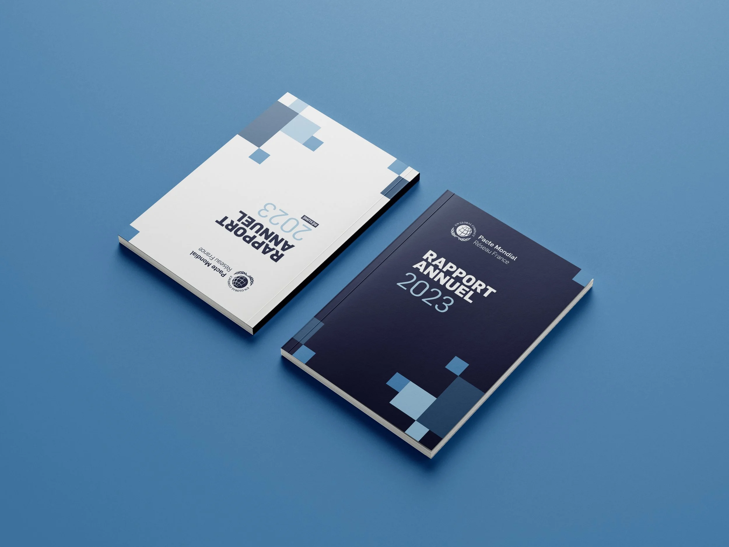 Pacte mondial de l'ONU - réseau france