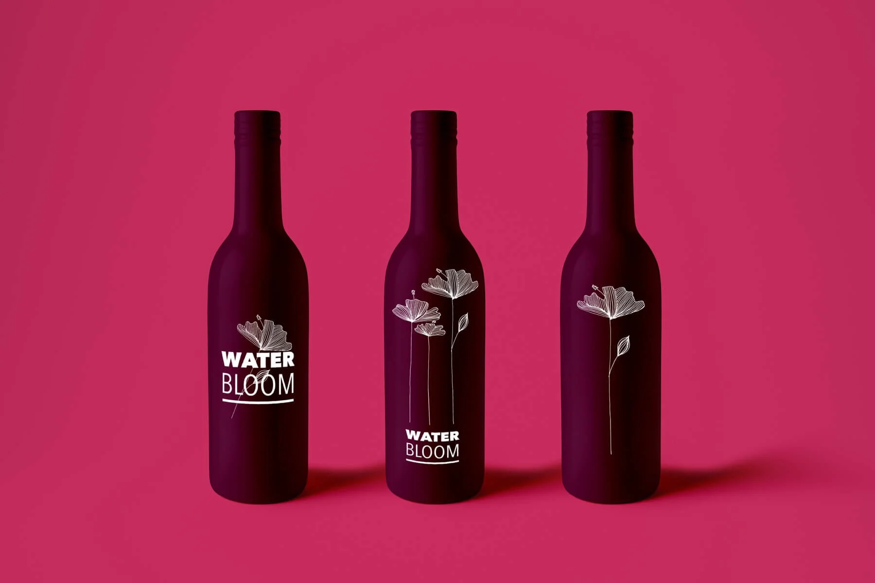 Waterbloom - identité visuelle & packaging