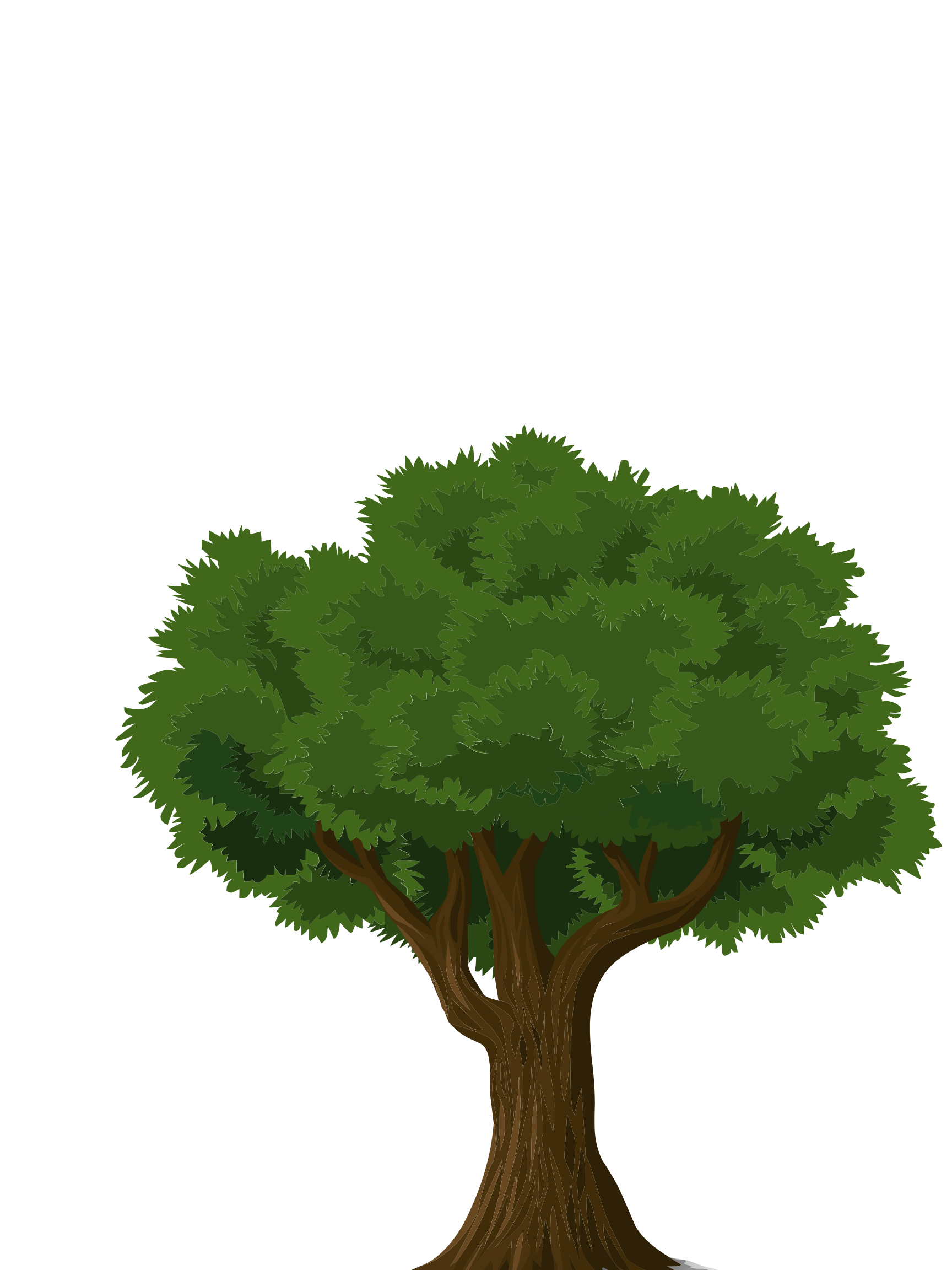 Digital illustration of a green leafy tree with a brown trunk on a black background.