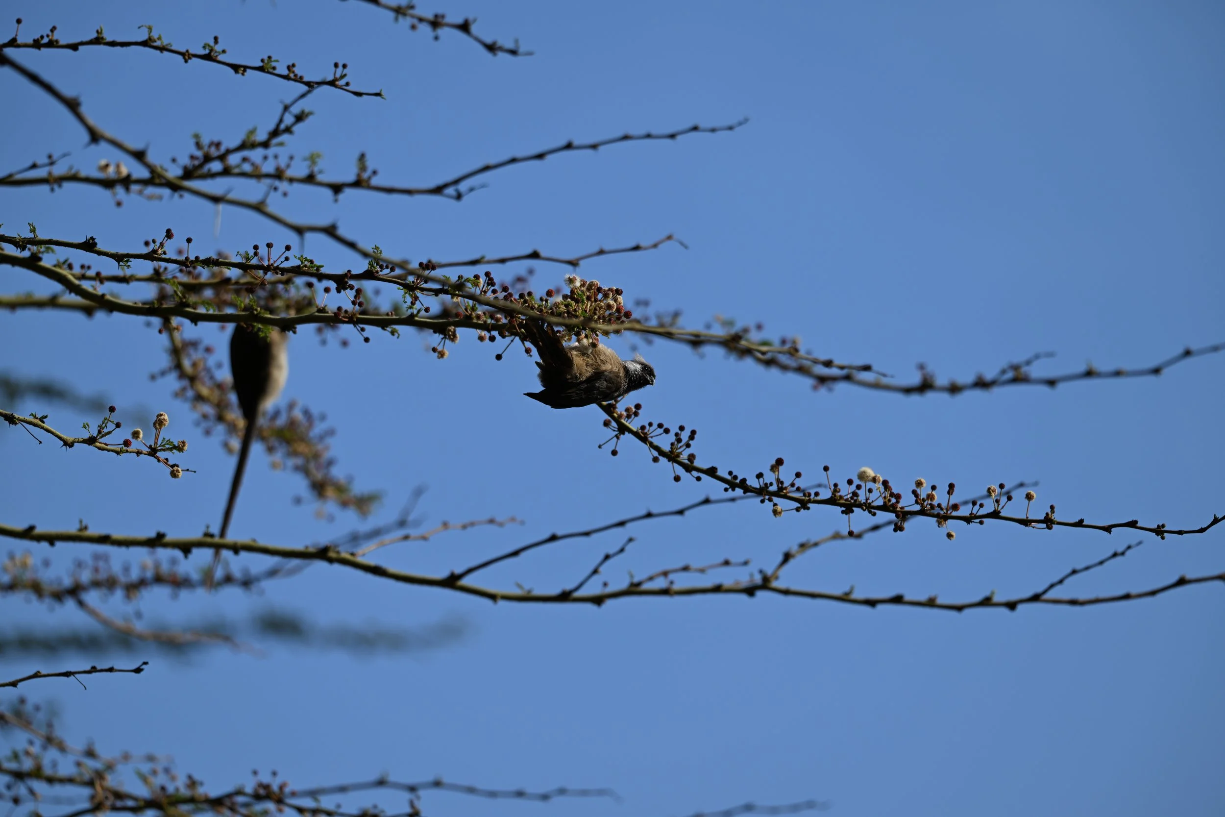 DSC_0007.JPG