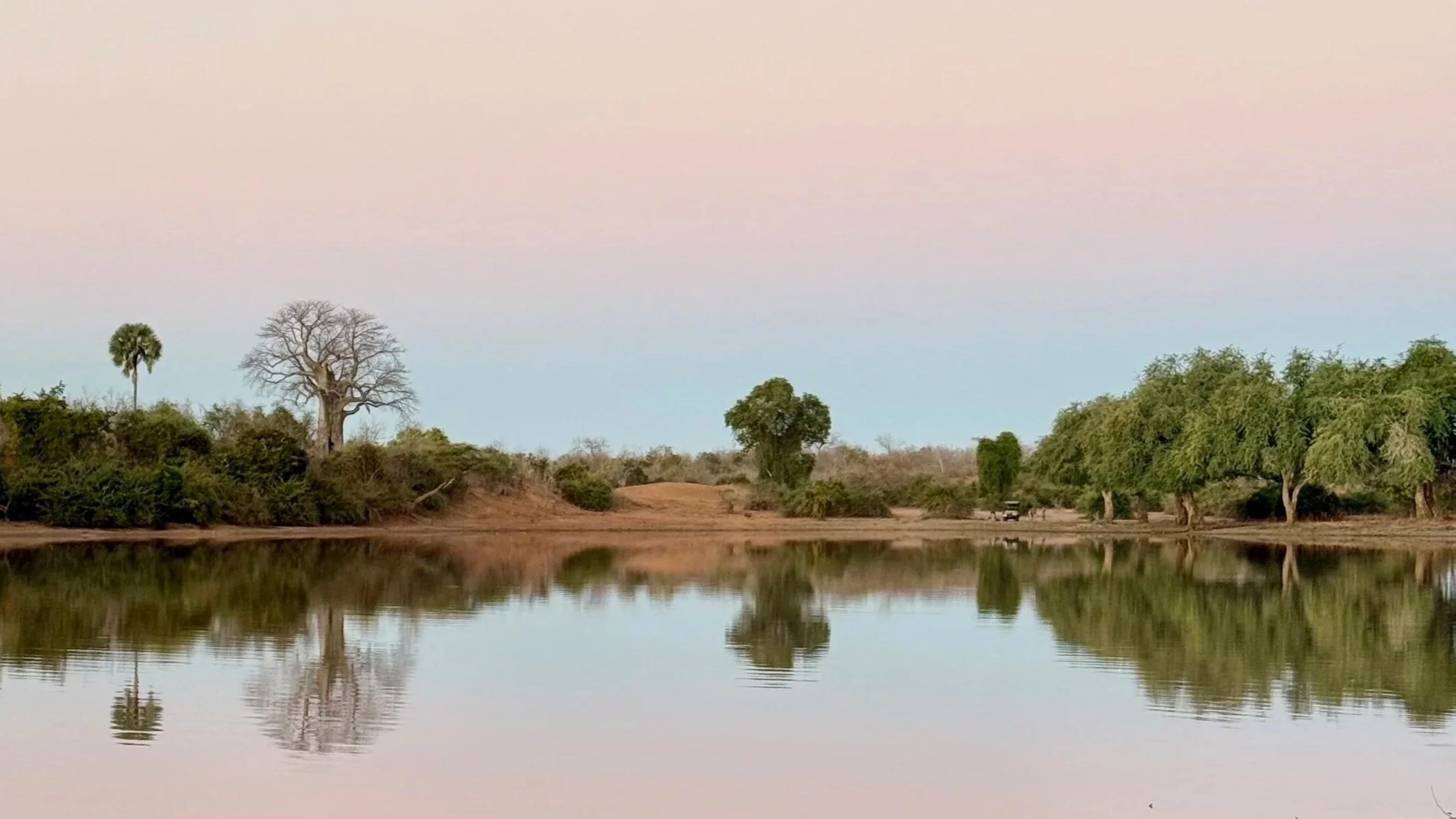 A peaceful scene of a river with trees and bushes along its bank, some trees are leafless while others are green, with a pale sky in the background.