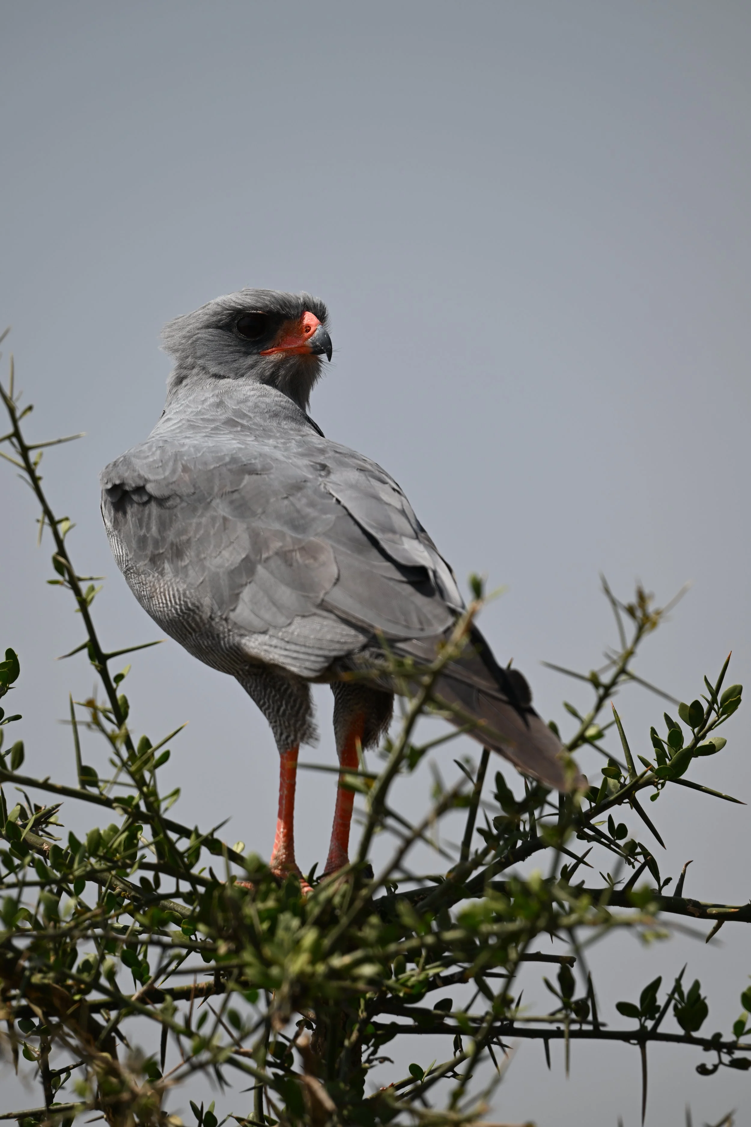 DSC_1158.JPG