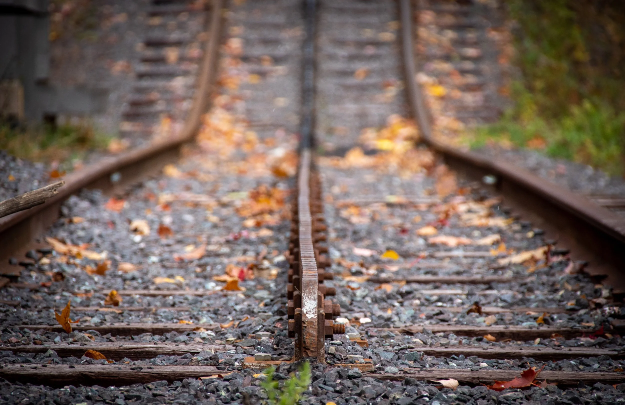 191014 MineSugarFalls-38.jpg