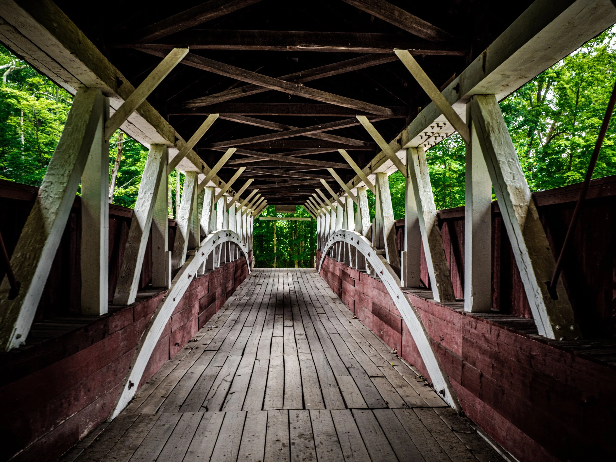 210816 Wandering the hills and hollers-87.jpg