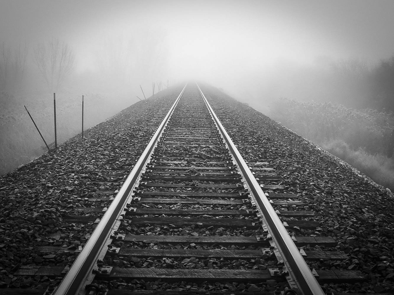 260214 New Beginnings-38.jpg