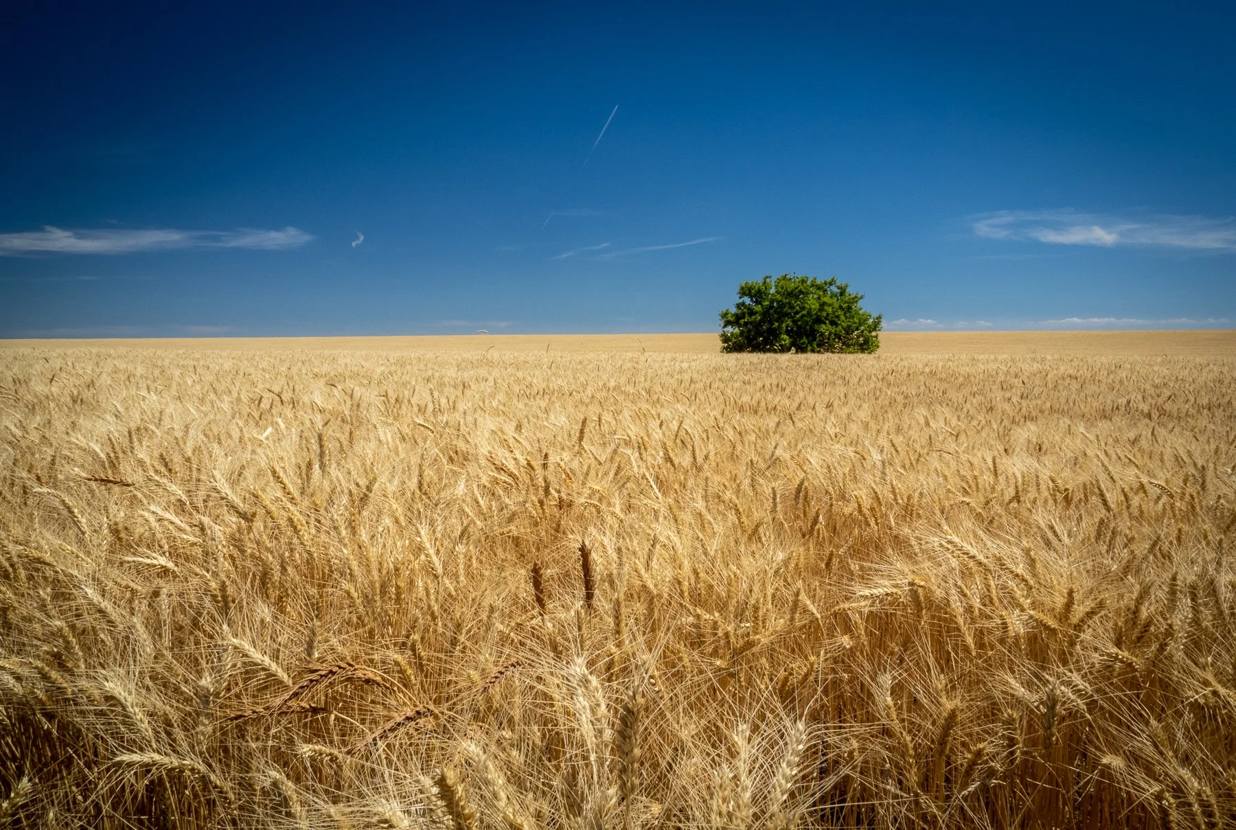 200716 HHH Loop with Rick-16.jpg