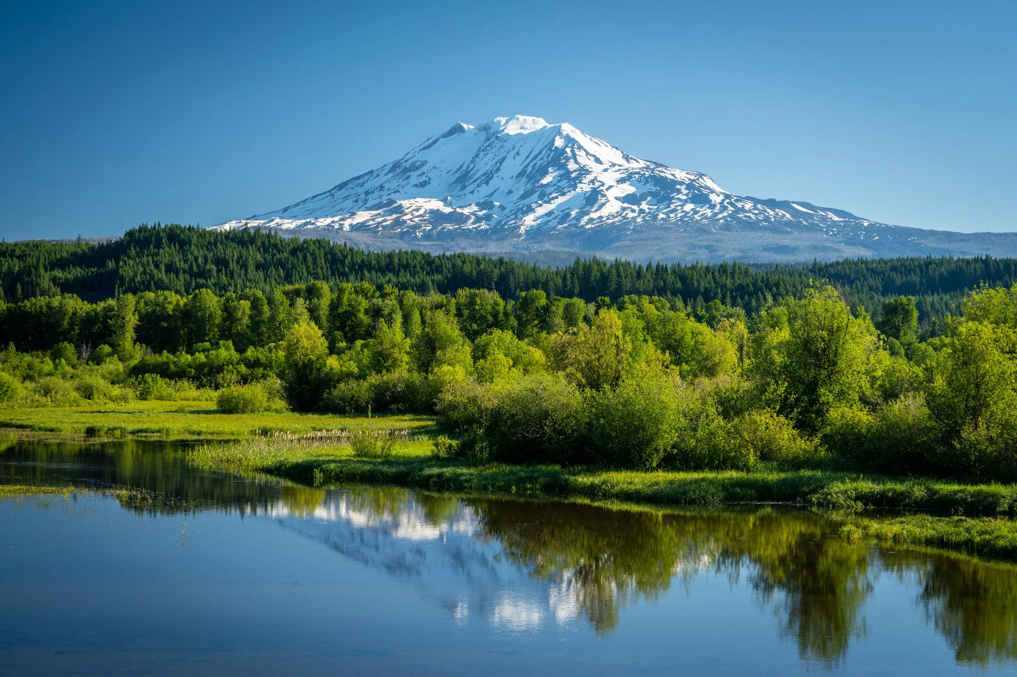 210617 Mt Adams-15.jpg