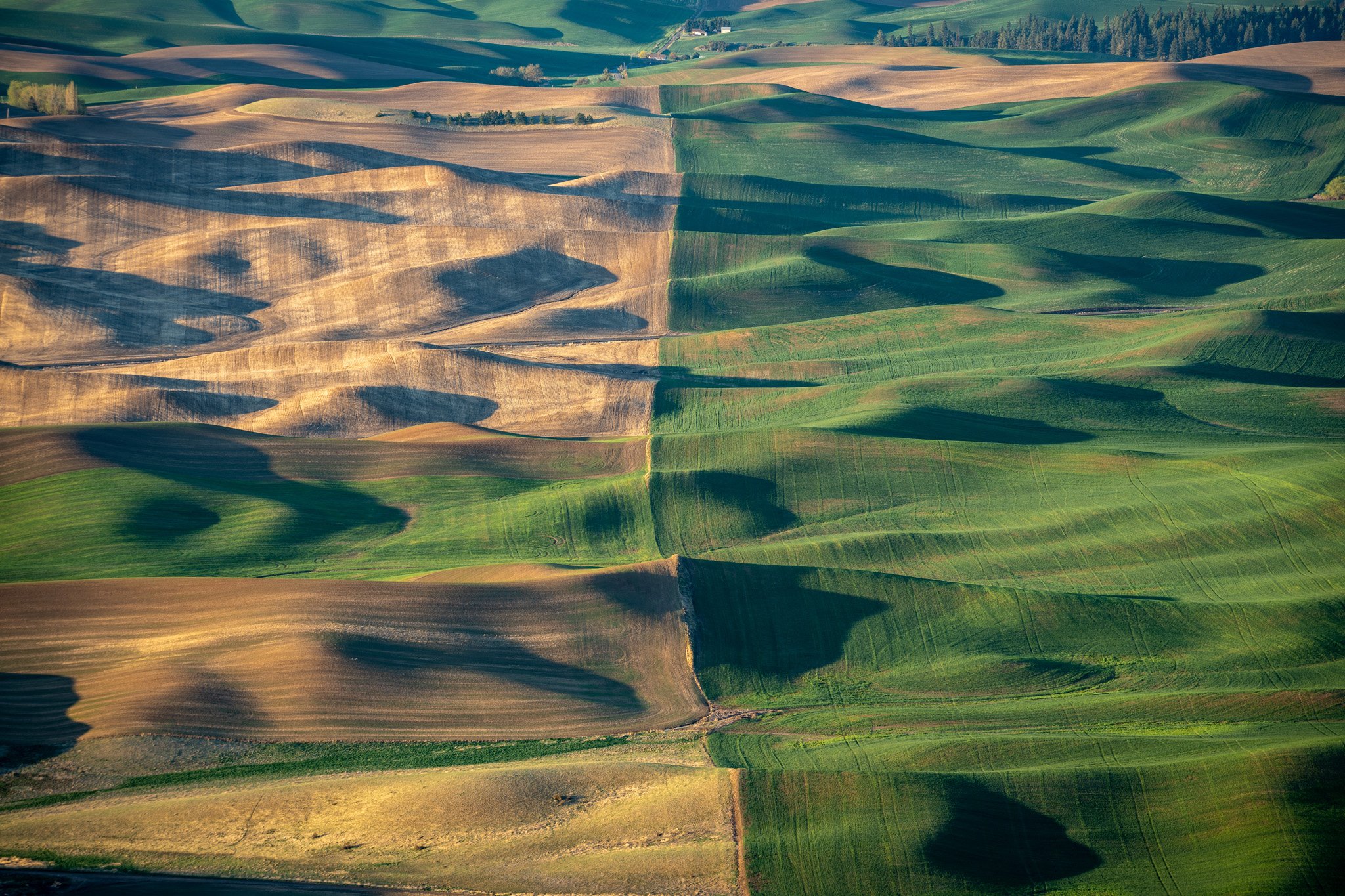 210502 Steptoe-67.jpg