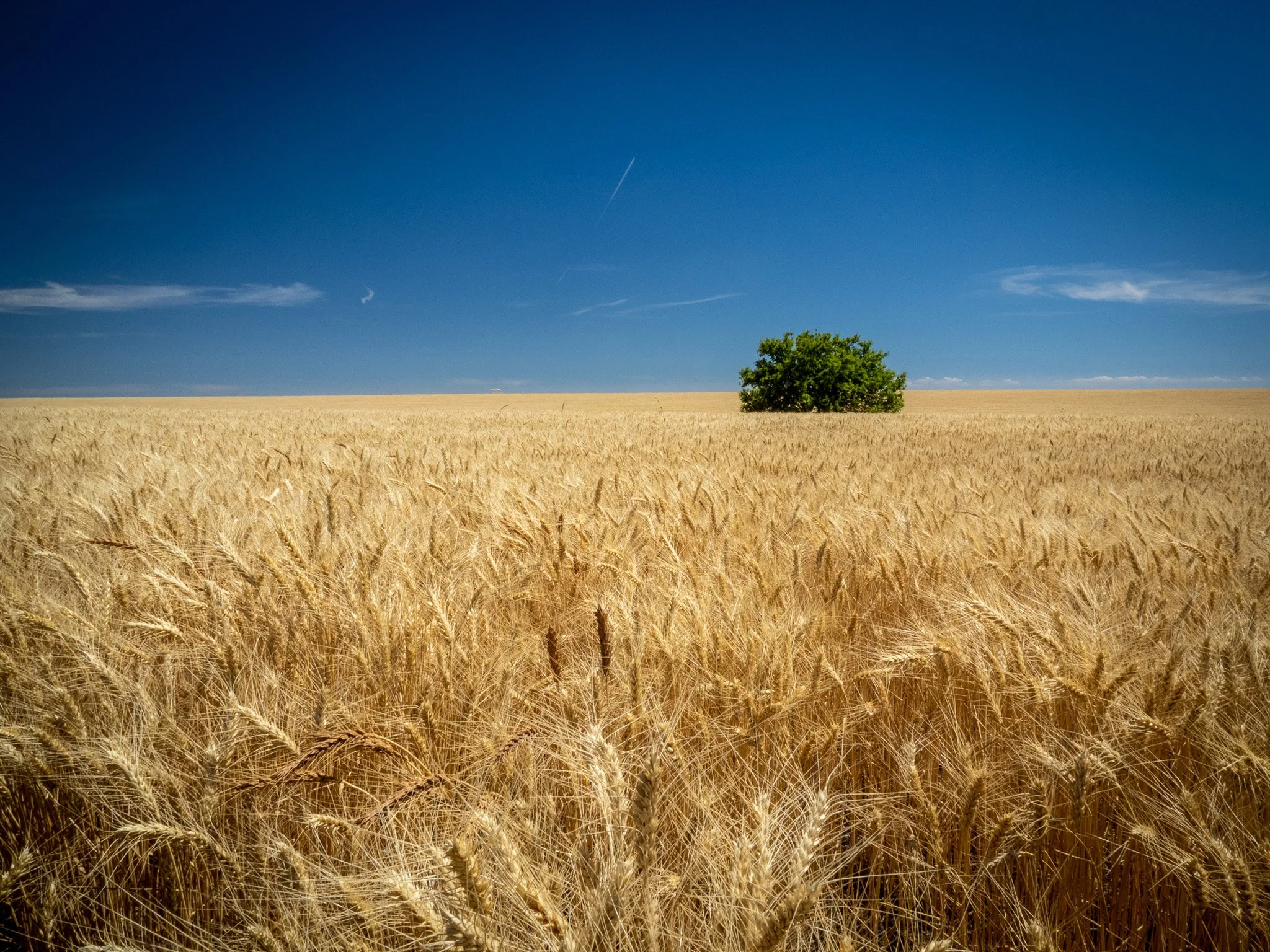 200716 HHH Loop with Rick-16.jpg