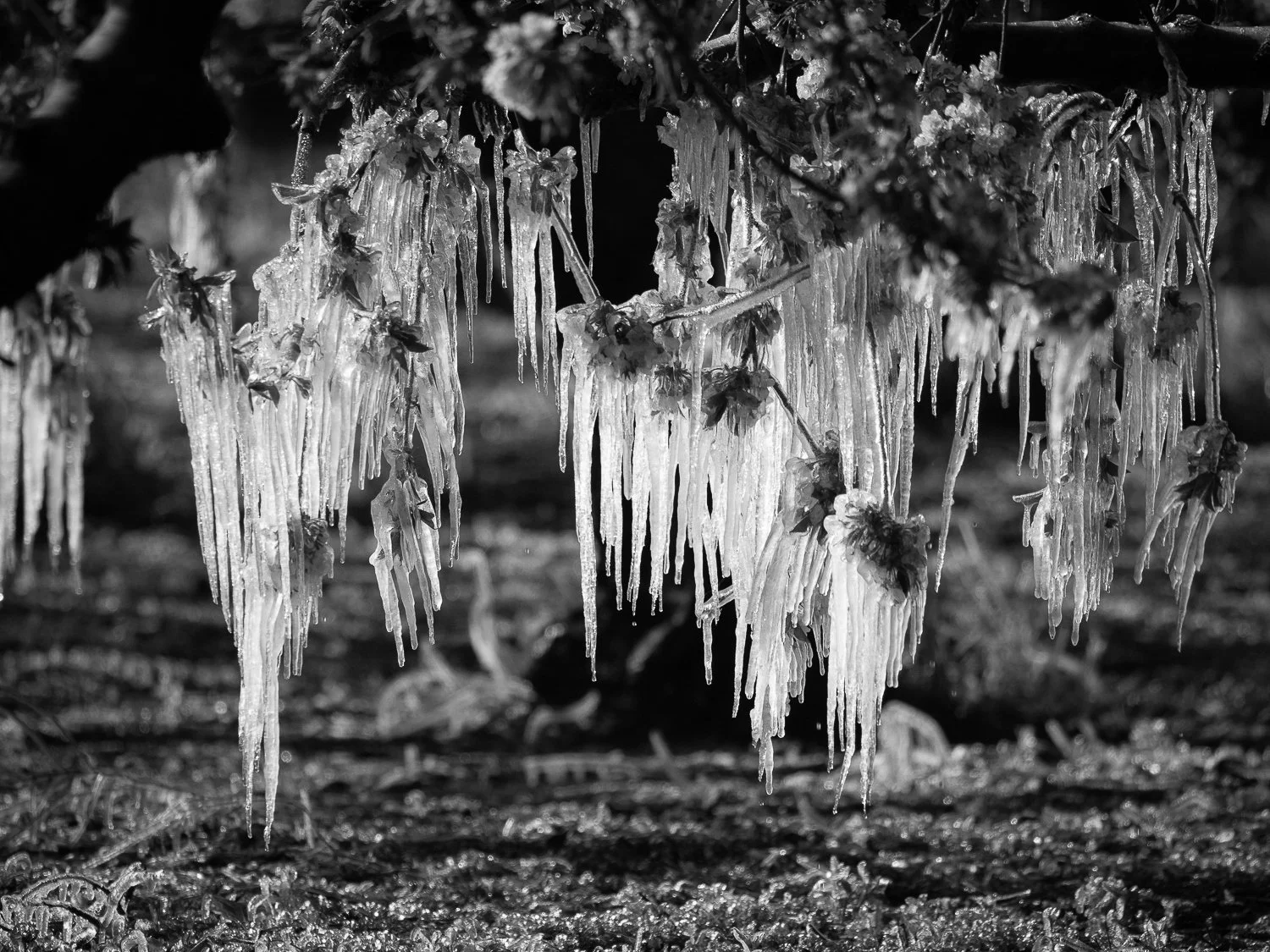 210411 Unapine-431.jpg