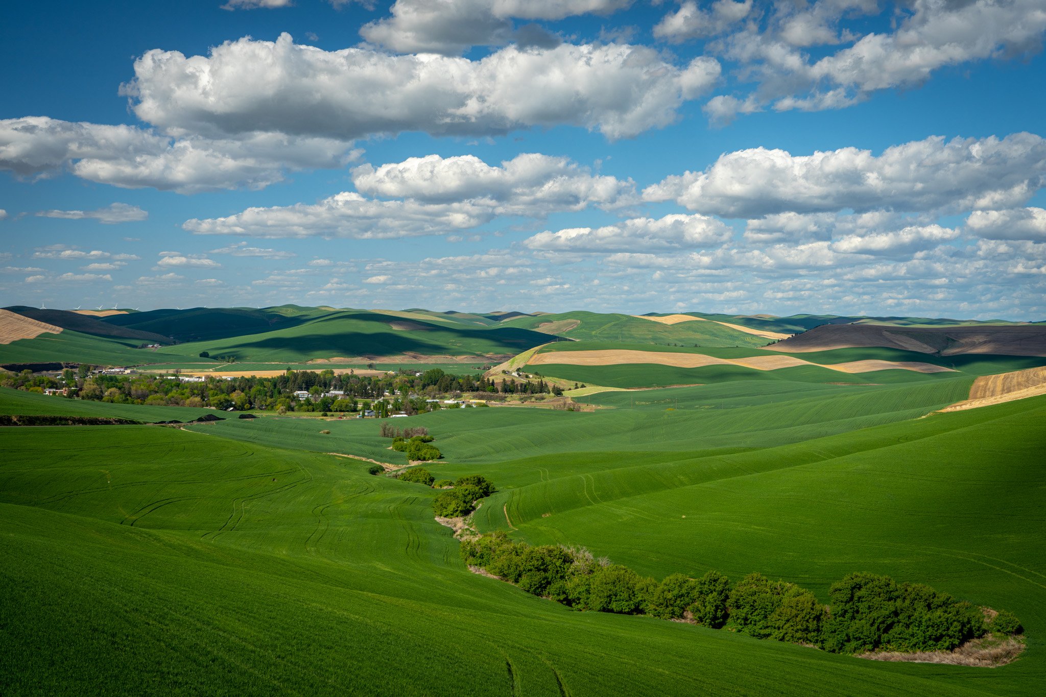 210504 Waitsburg Vicinity-241.jpg