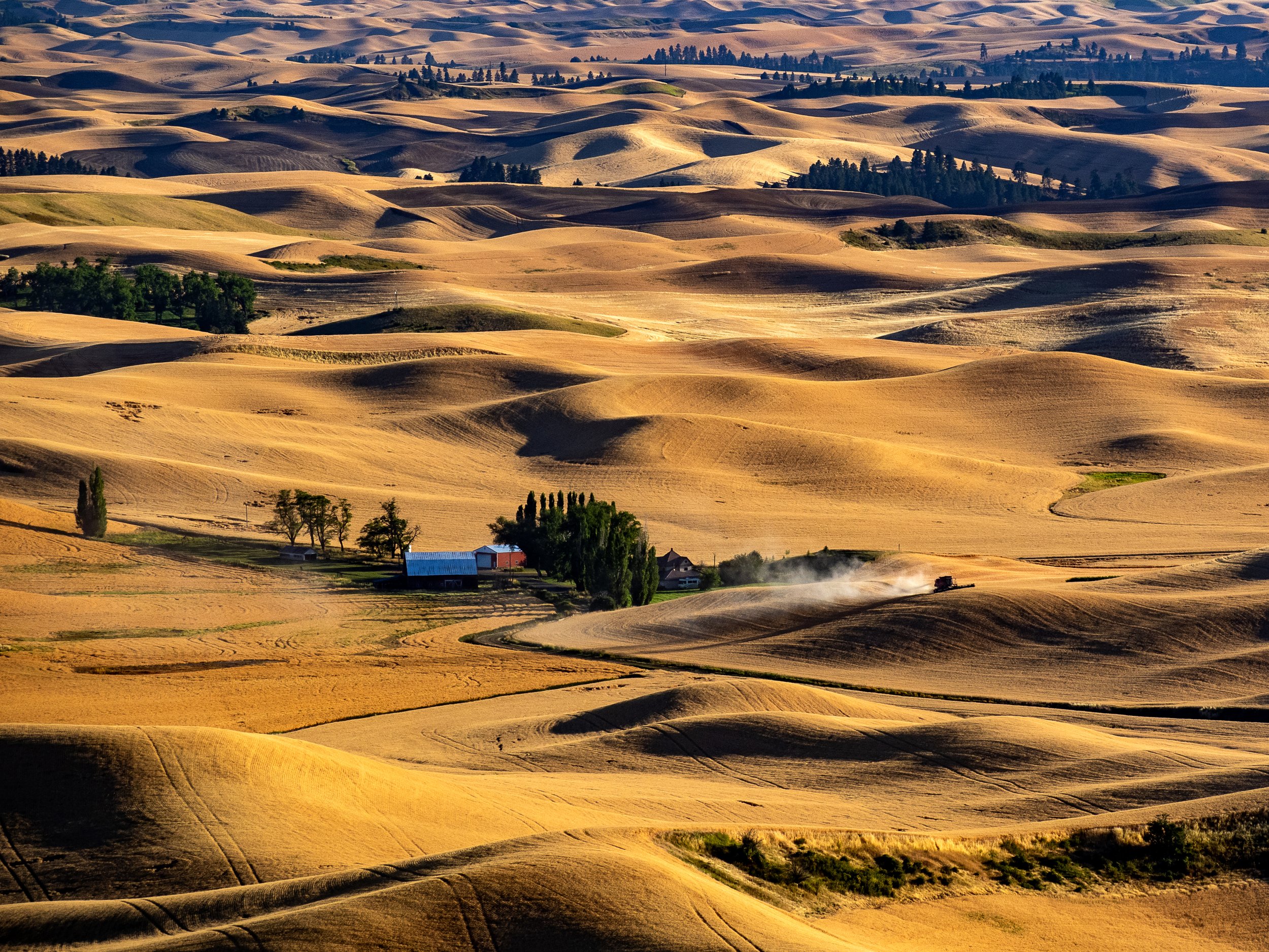 Working Land