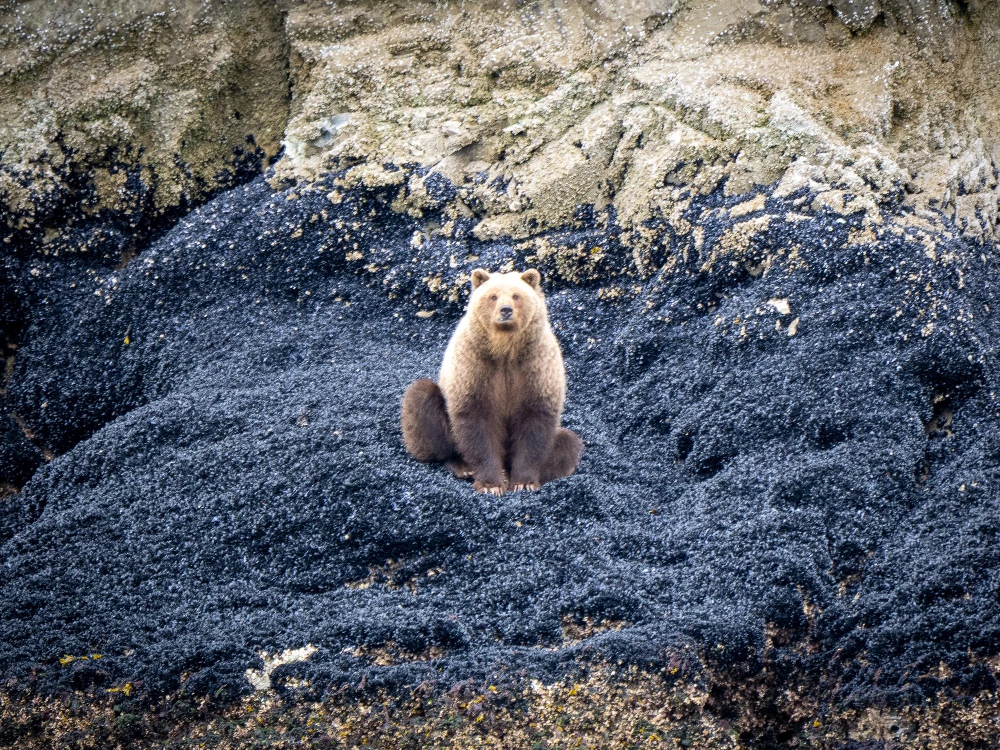 250602 Boat Trip-350.jpg