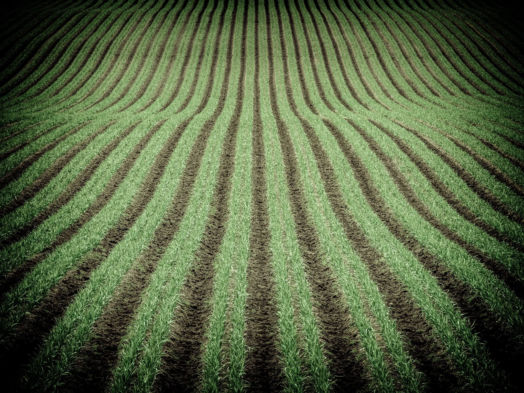 210328 Moses Coulee et al-11.jpg