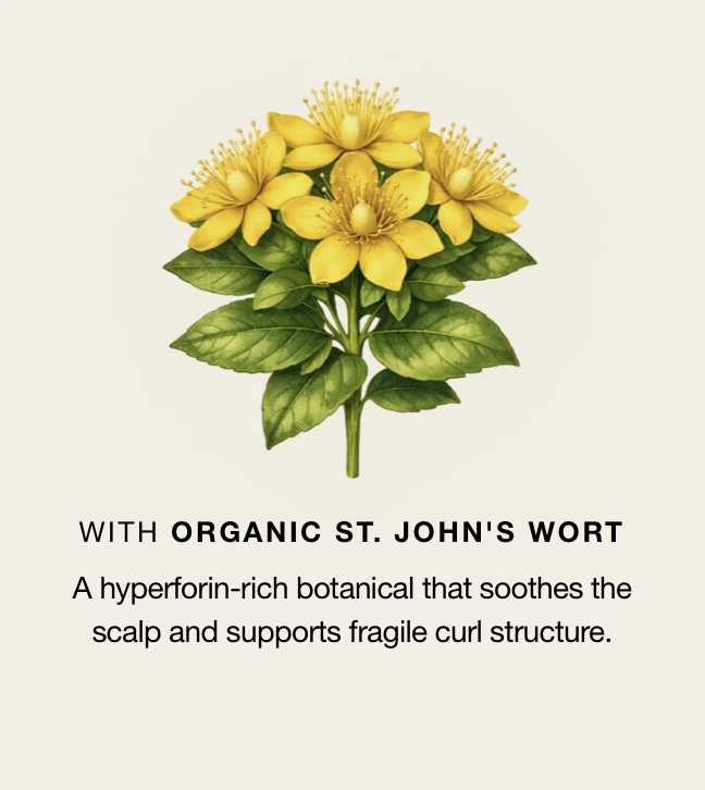 Oway Curly Hair Co-Wash botanical ingredients