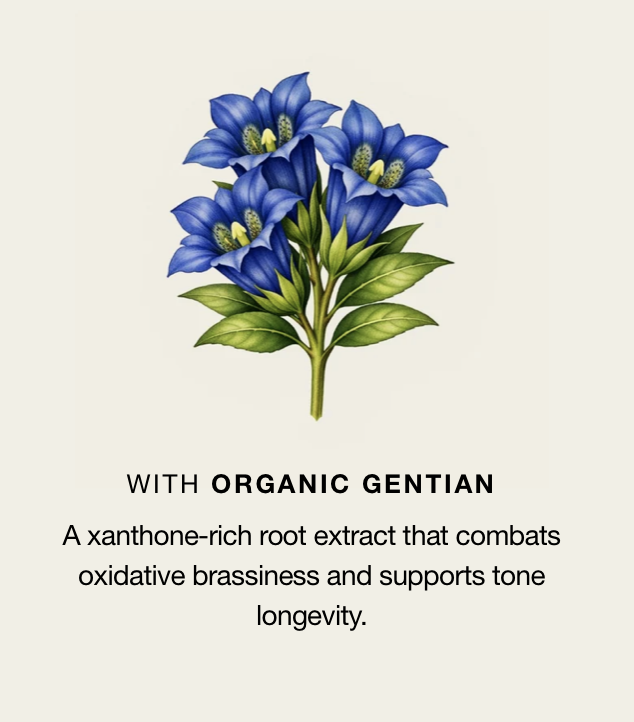Oway Bluemoon Hair Bath botanical ingredients