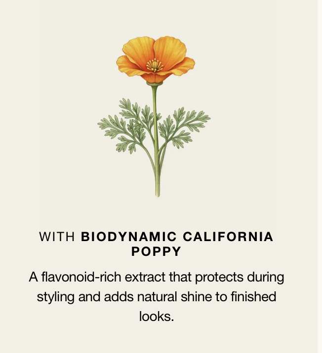 Oway Flux Potion botanical ingredients