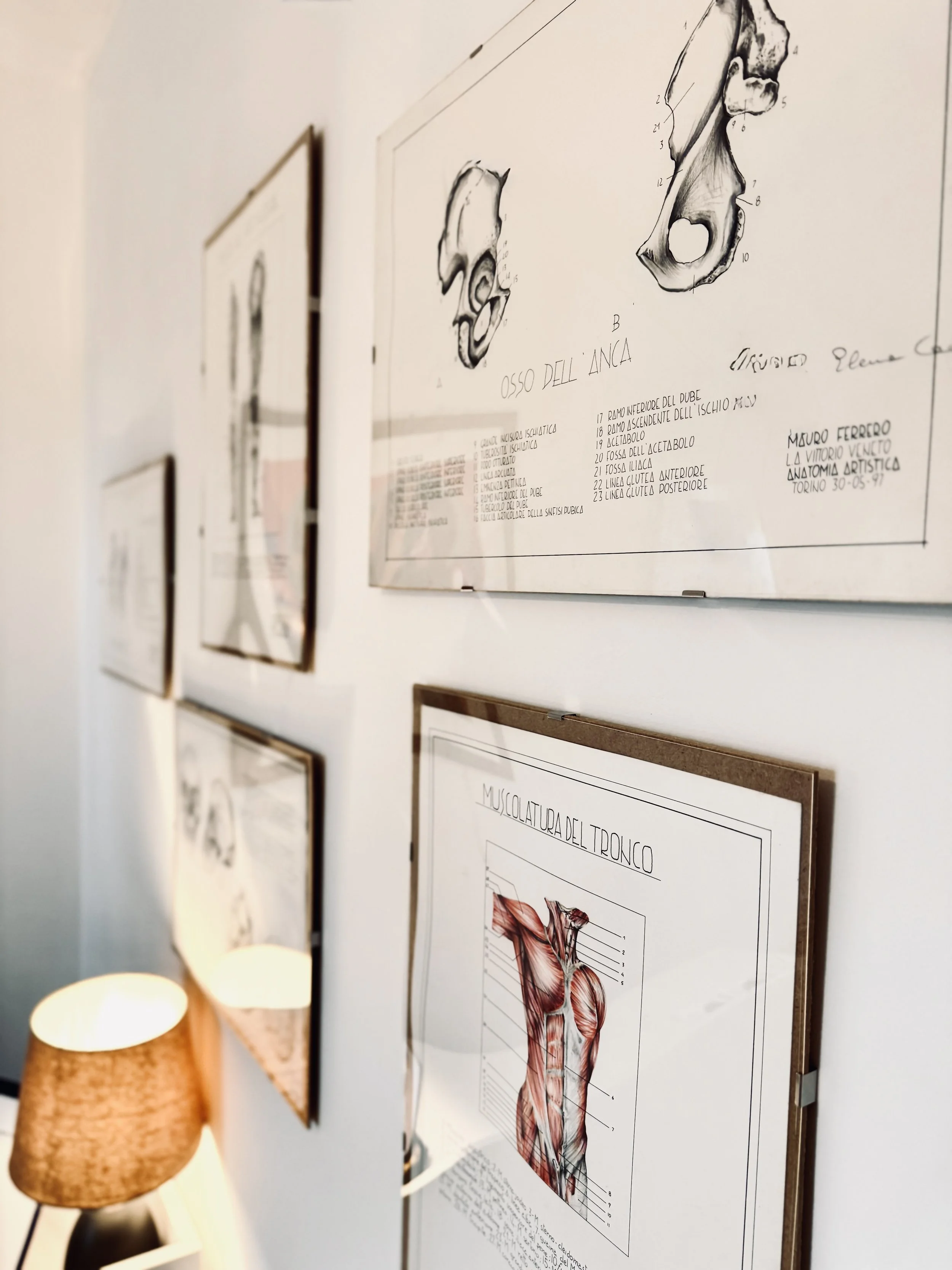 Diagramma dell'osso dell'anca e delle strutture circostanti, con etichette in italiano.