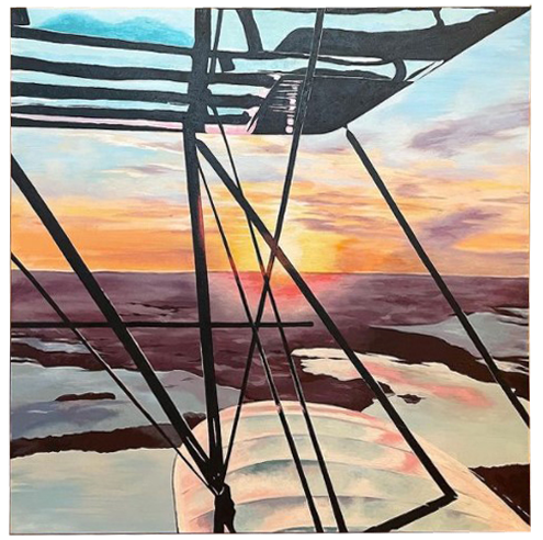 Sunset on the Wing