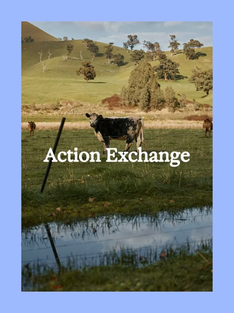 Natural capital liquidity: The co-benefits of landscape hydration