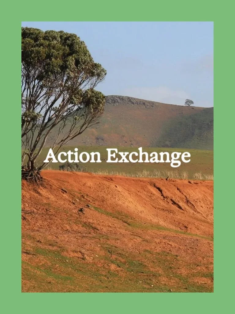 Nature and Net Zero: Investing in agriculture