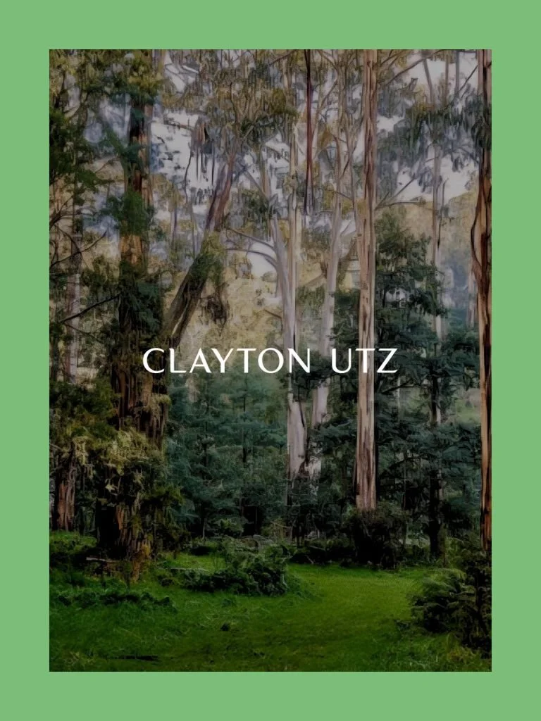 Building Biodiversity: Australian nature credit markets beyond the TNFD