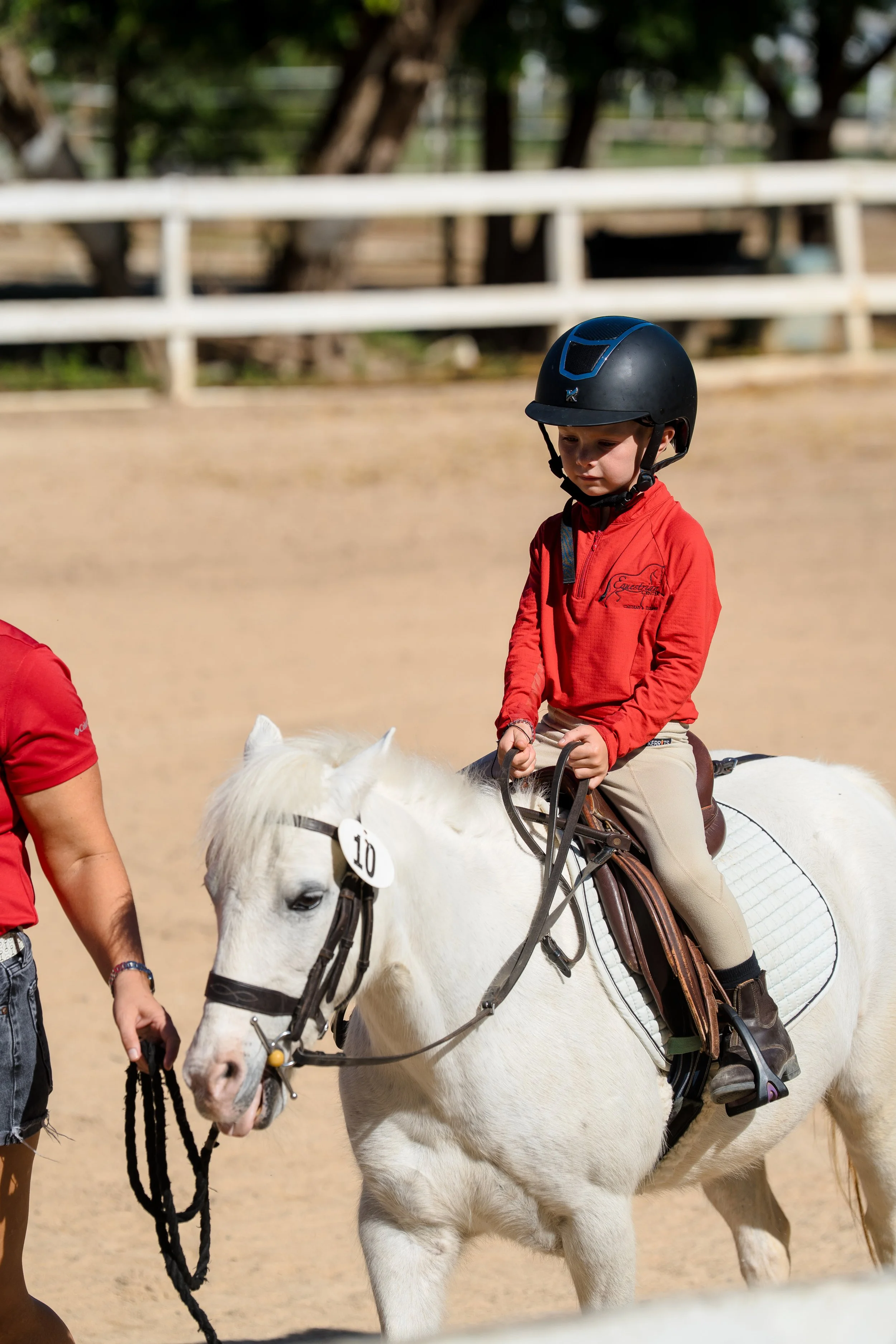 Beginner Lessons