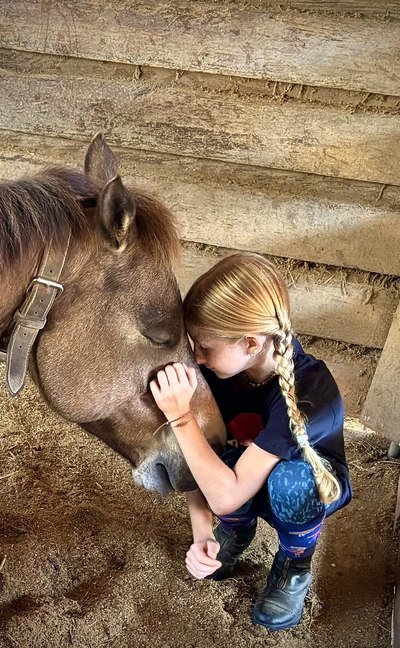 Equine Connections