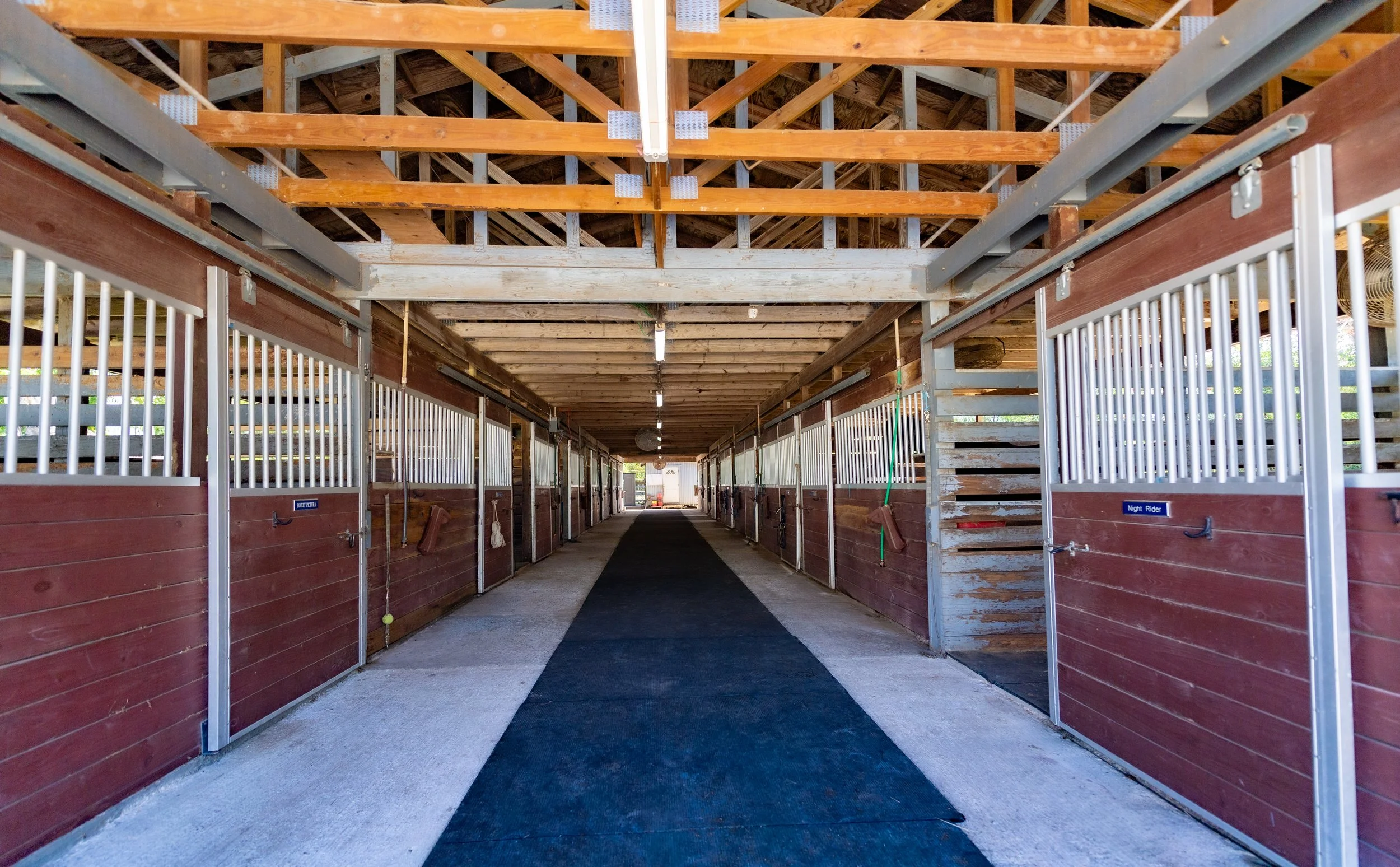 Inside a horse stable with a walkway, wooden beams on the ceiling, and stalls on both sides with signs and metal bars.