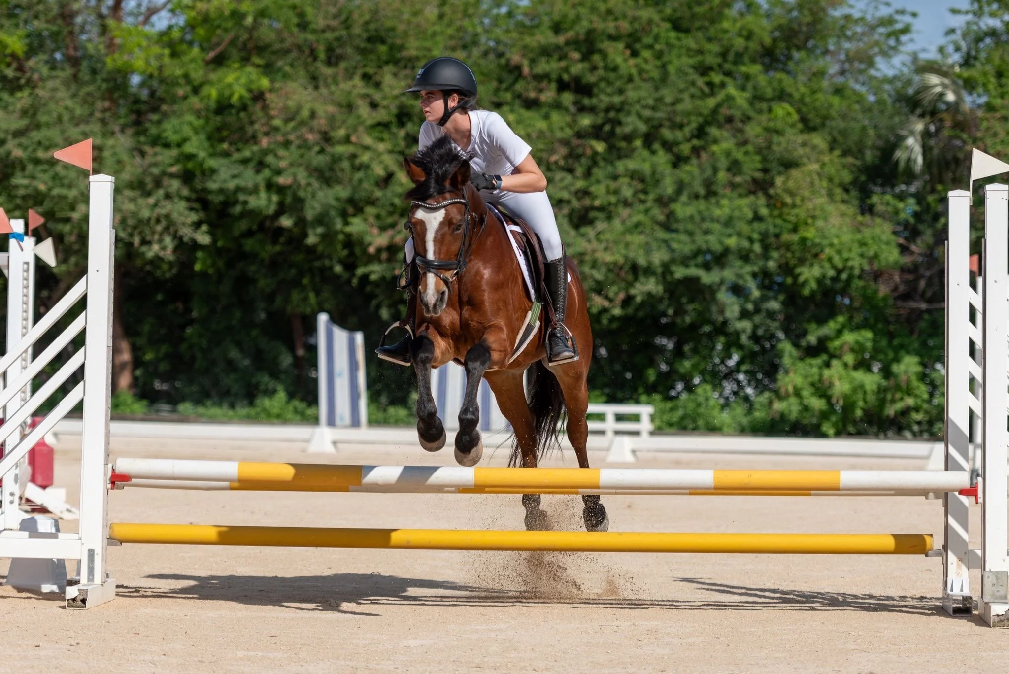 A female equestrian rider wearing a helmet and white riding outfit guides her brown horse with a white stripe on its face over a yellow and white show jumping obstacle during a daytime equestrian event, with green trees in the background.
