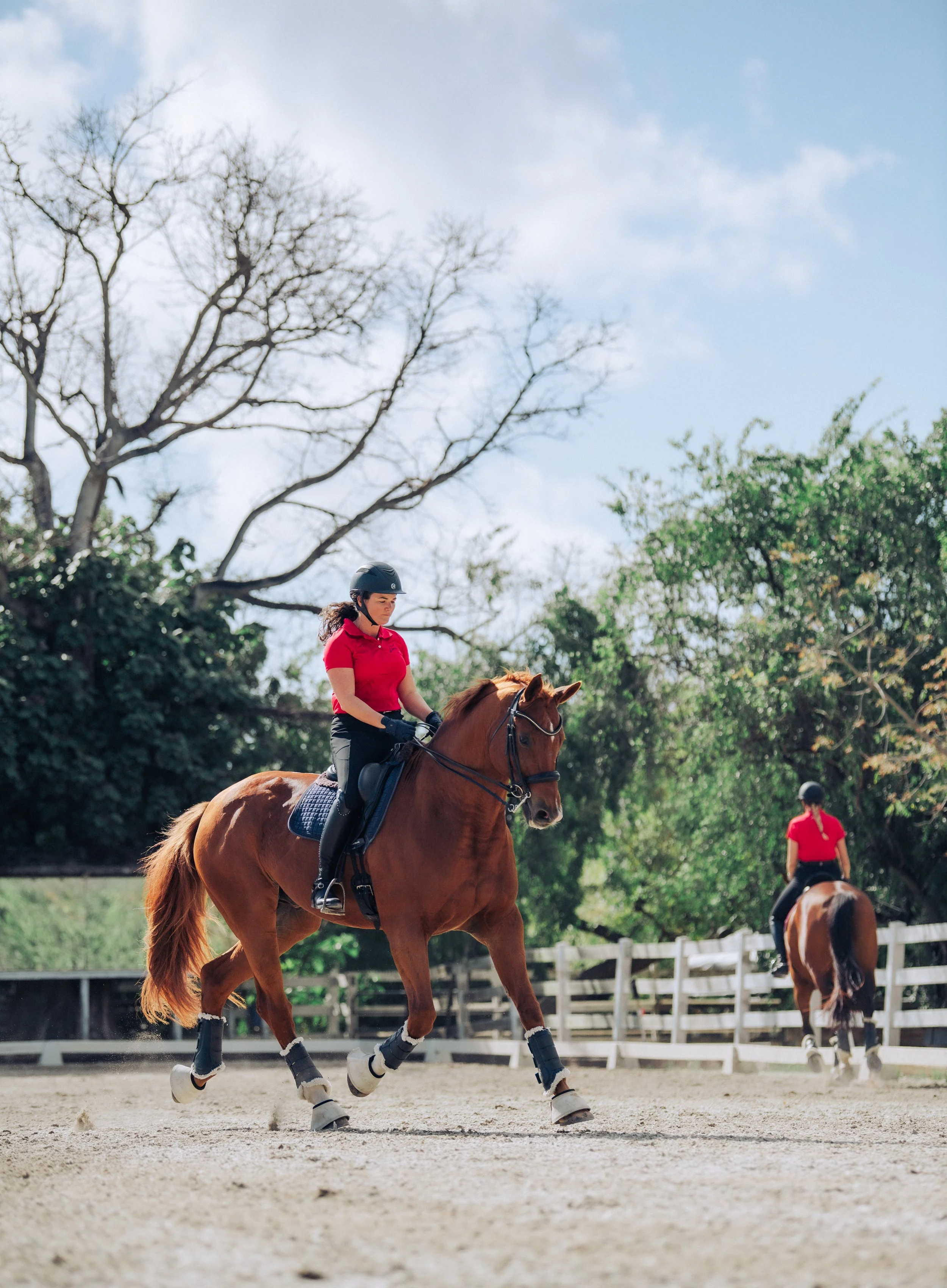 A woman in a helmet and red shirt riding a brown horse with black and white polo wraps on its legs in an outdoor riding arena with a white fence, trees, and blue sky in the background.