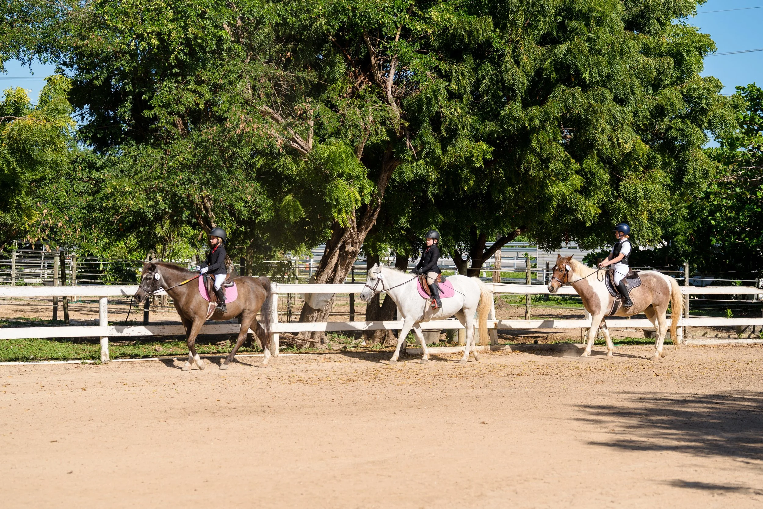 equestrian-center-show-feb26-67.jpg