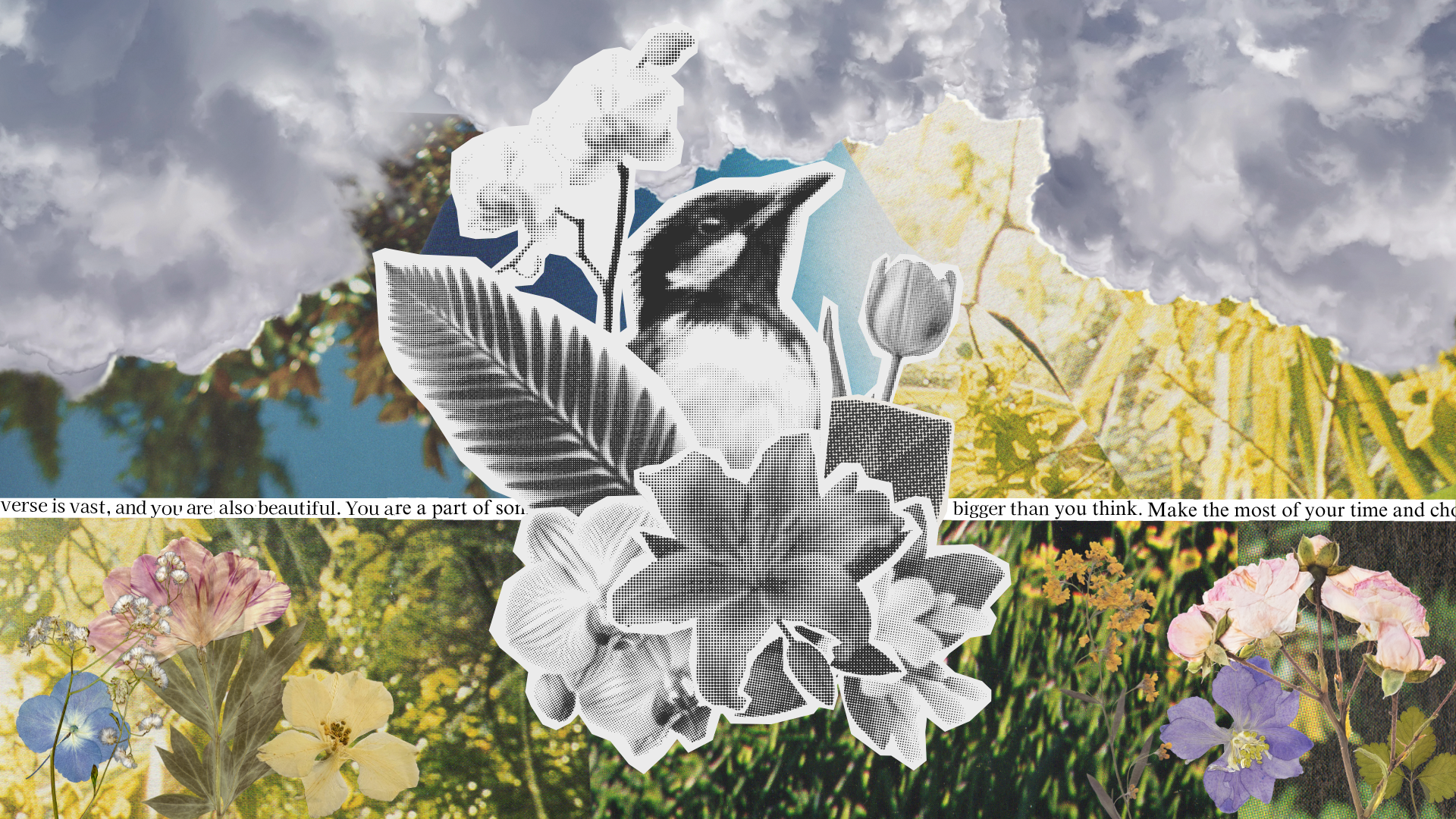 The Universe is Vast