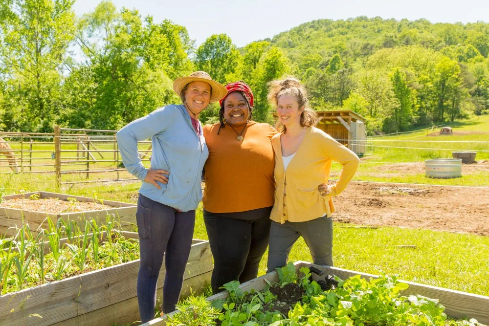 Three women standing outdoors in a garden with raised beds and sunny weather, smiling and posing for the camera.