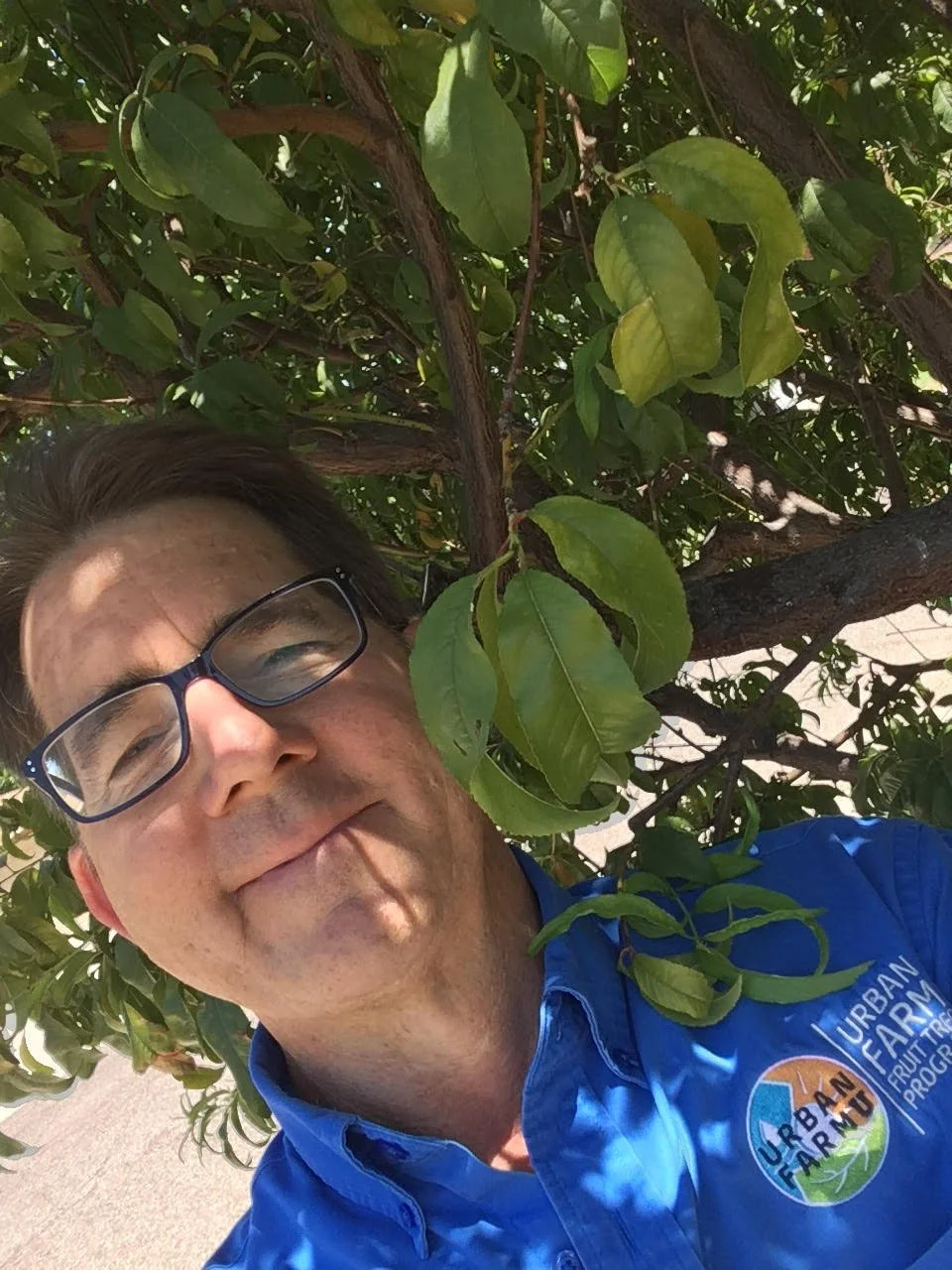 A man with glasses and a blue shirt standing next to a leafy tree, smiling at the camera.